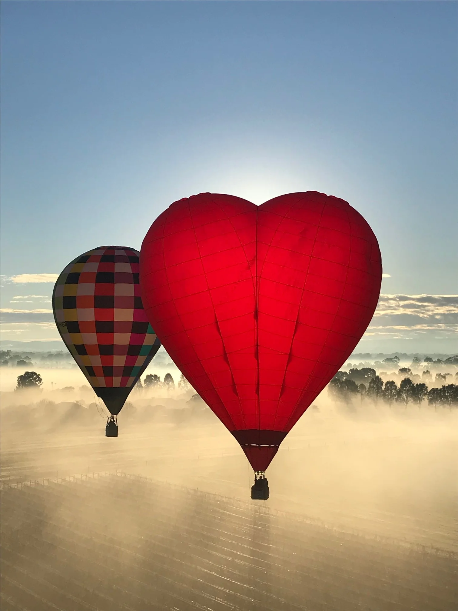 Image Credit: David Wills