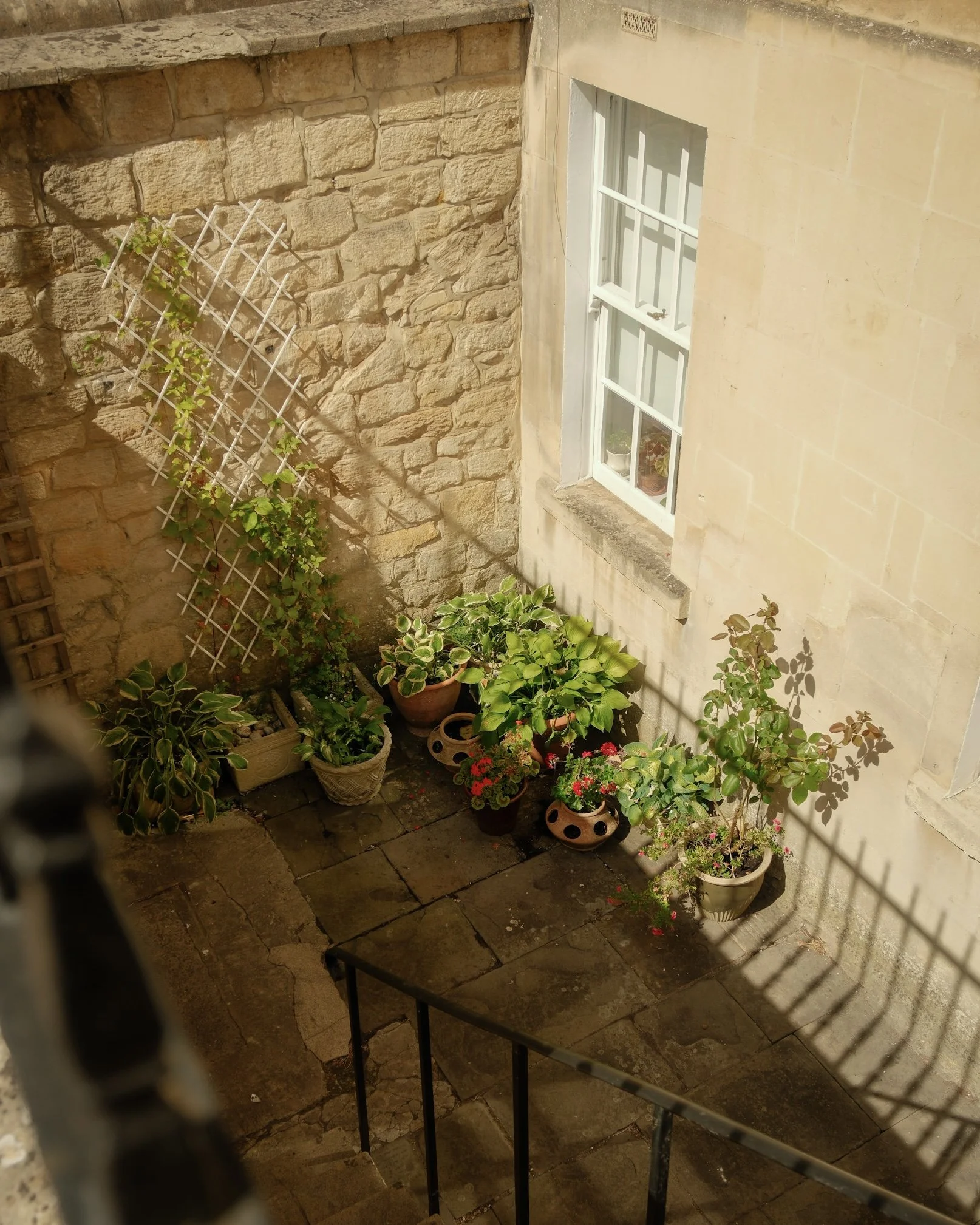 IMG_0414.jpeg
