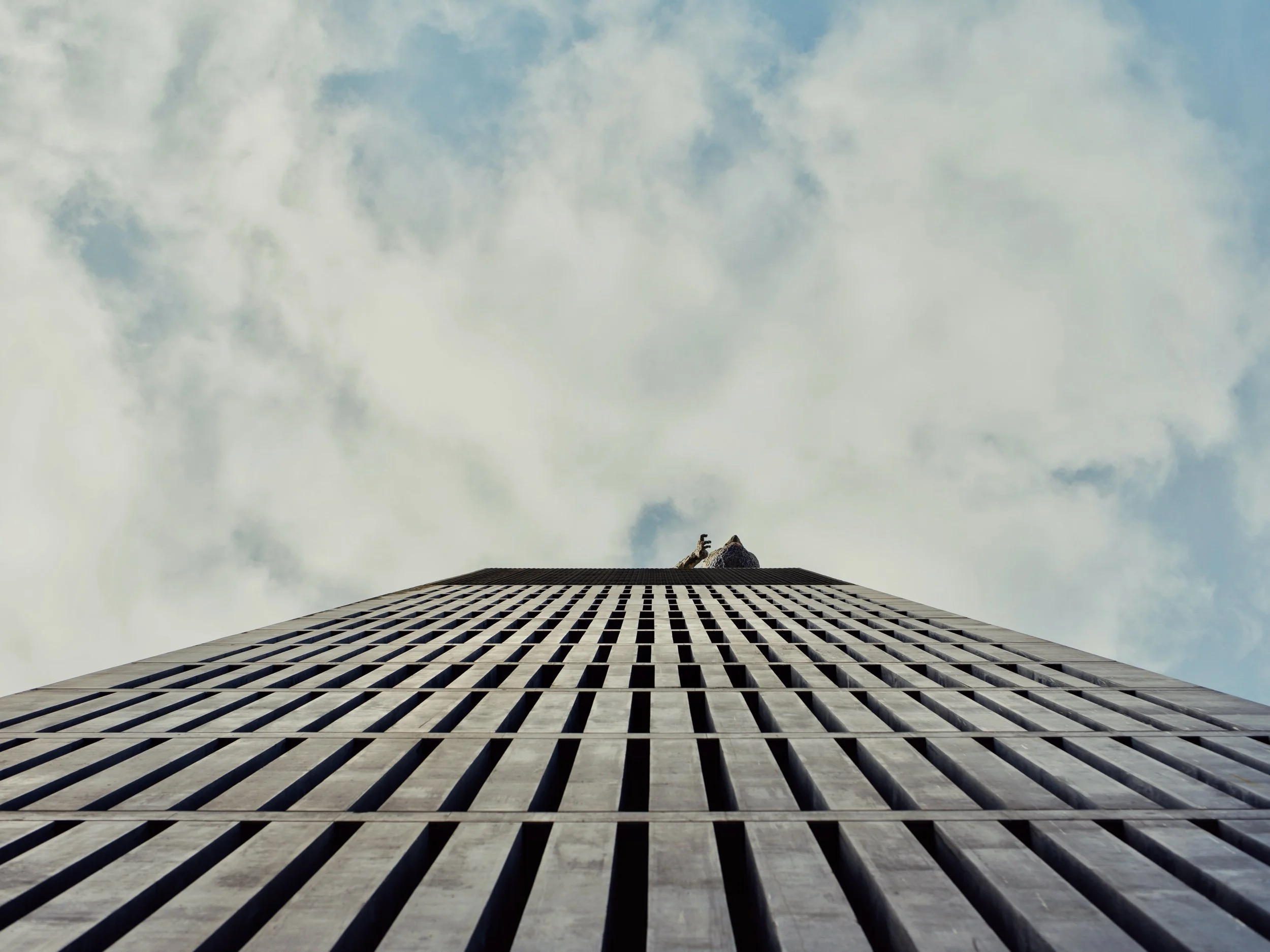 CC670BF7-1709-41BD-A0EC-742A131EEA95.jpeg