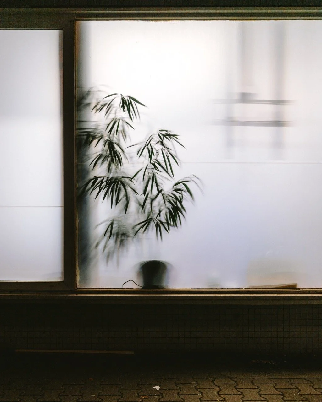 Groß (DSC01015).jpeg