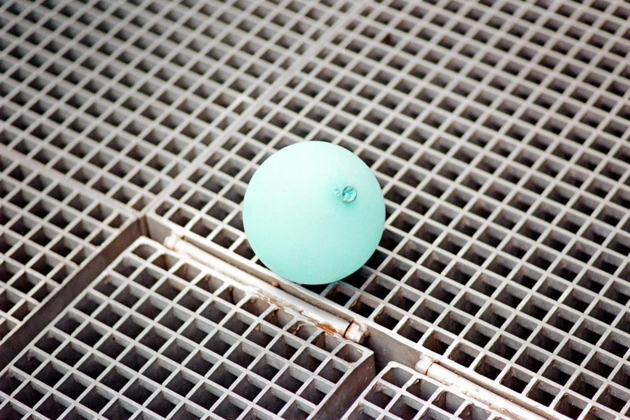 Groß (DSC_0101-Bearbeitet-positive).jpeg