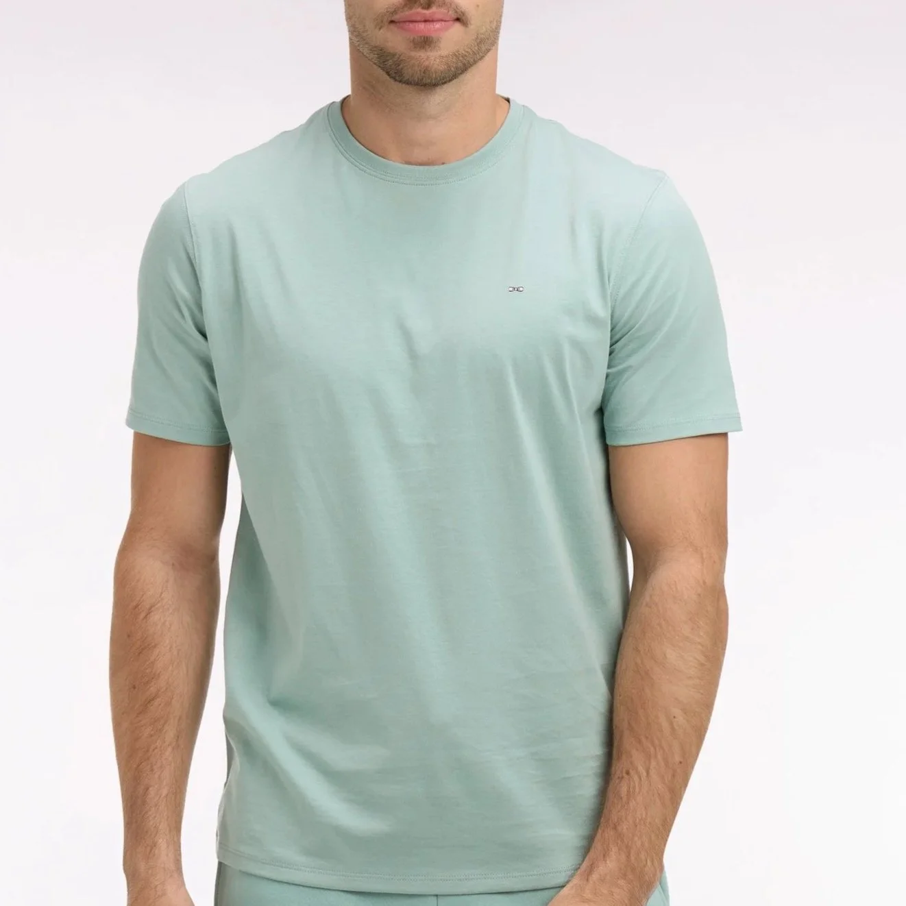 Model View of Eden Park Pima Cotton T Shirt in Soft Green
