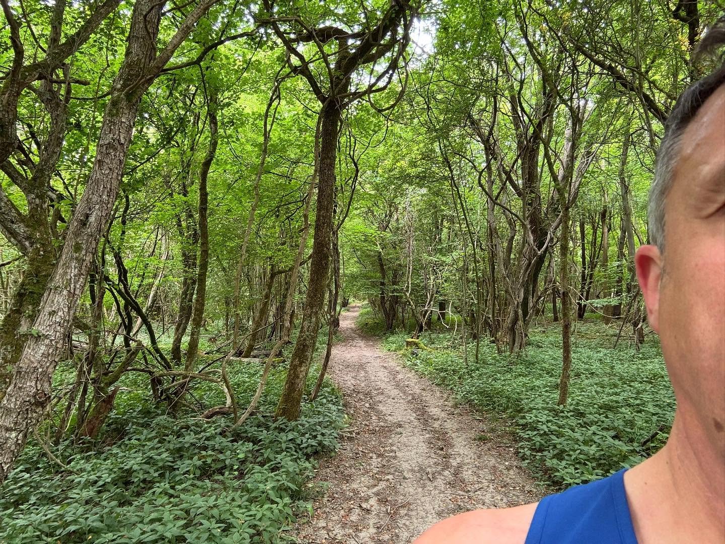 Running in the Surrey Hills. So. Many. Hills.

Target 20k (!), achieved&hellip; 20k!!!

Smug mode engaged. 😏
