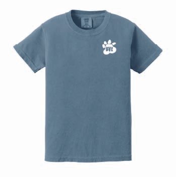 BVSpiritTee-02 2.jpg