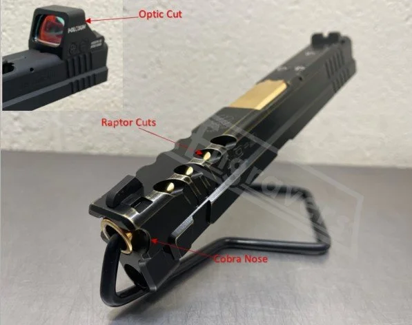 XD Raptor WM.jpg