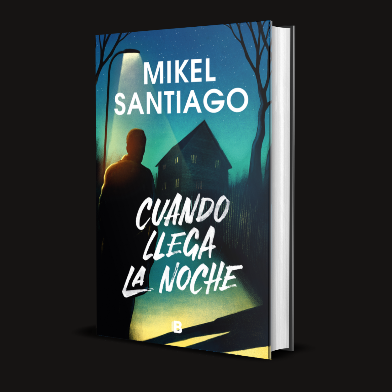 Cuando llega la noche Product IMG.png
