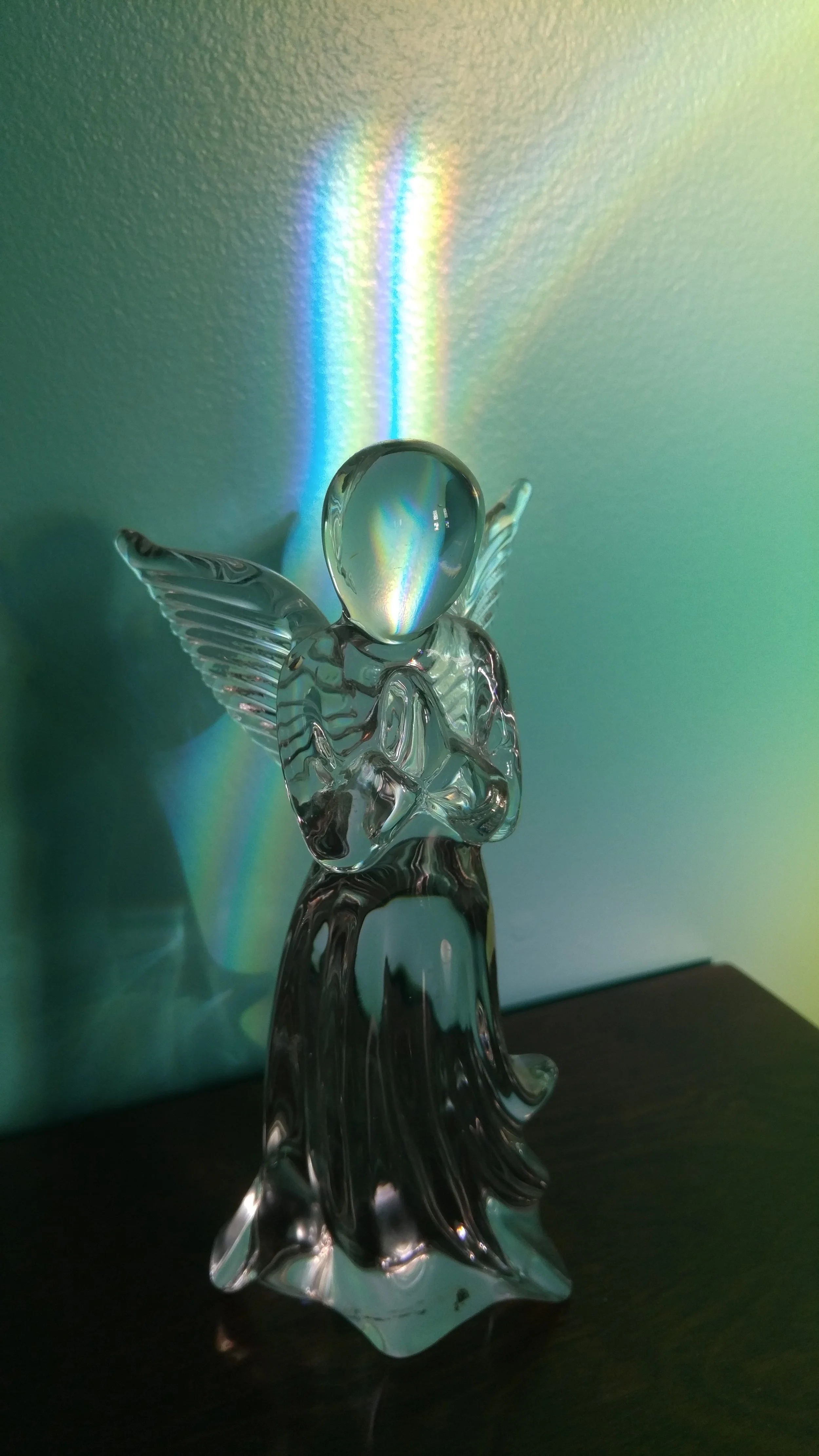 20171126_154216.jpg