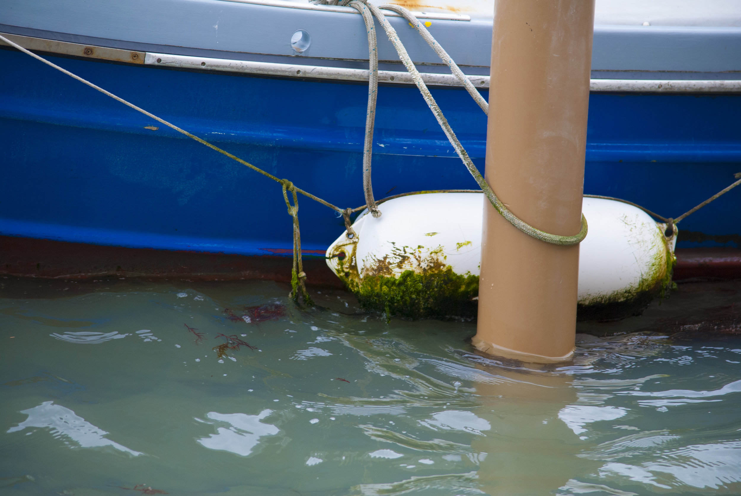 Venice_May 2016047.JPG