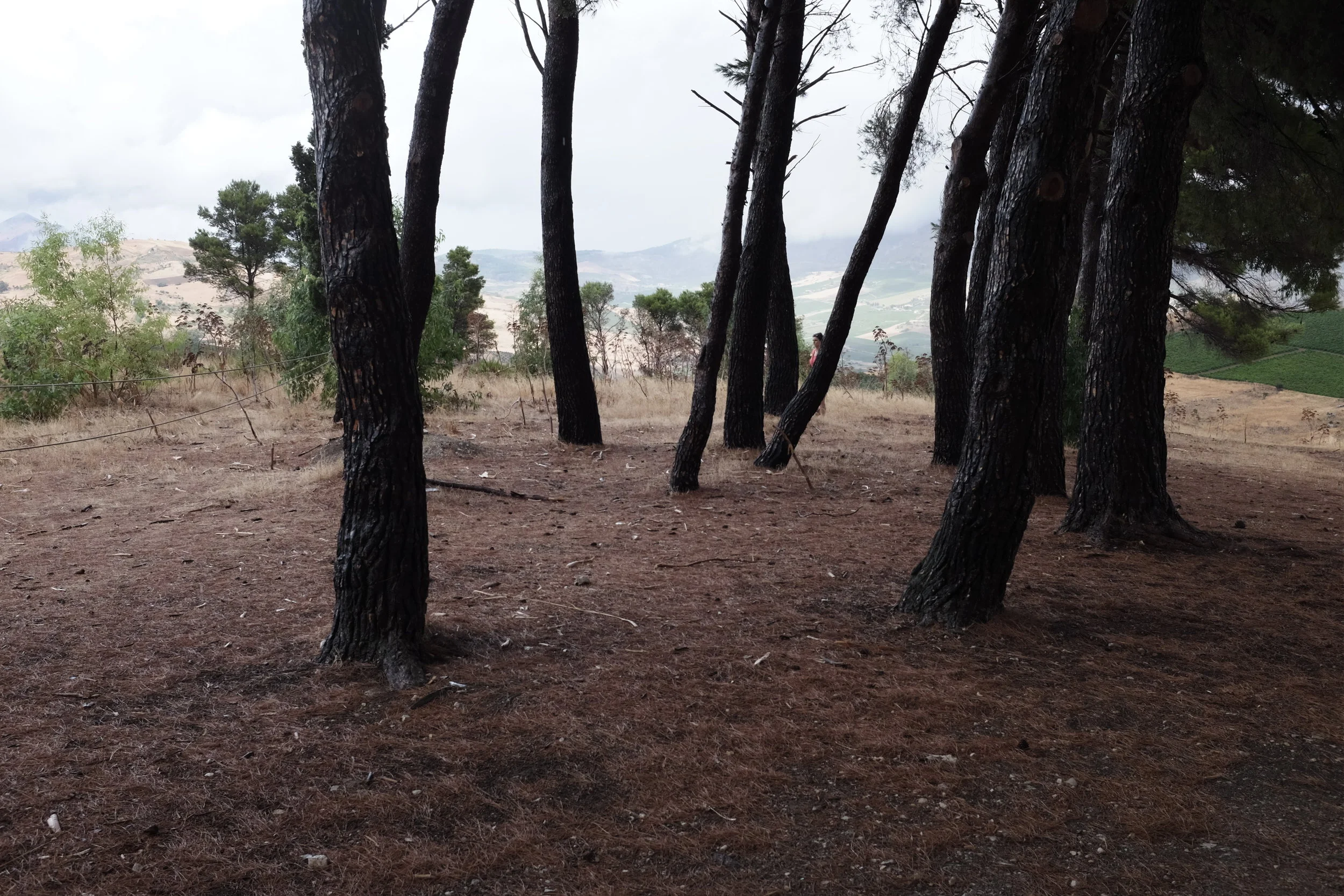 DSCF3275.JPG