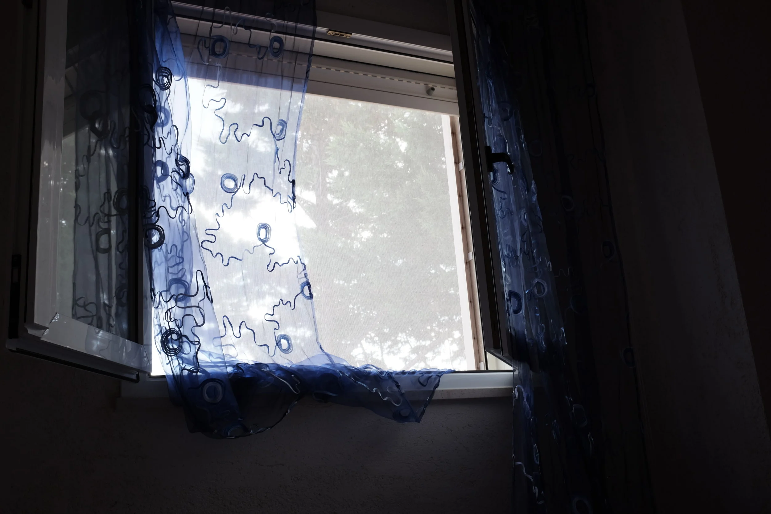 DSCF3294.JPG