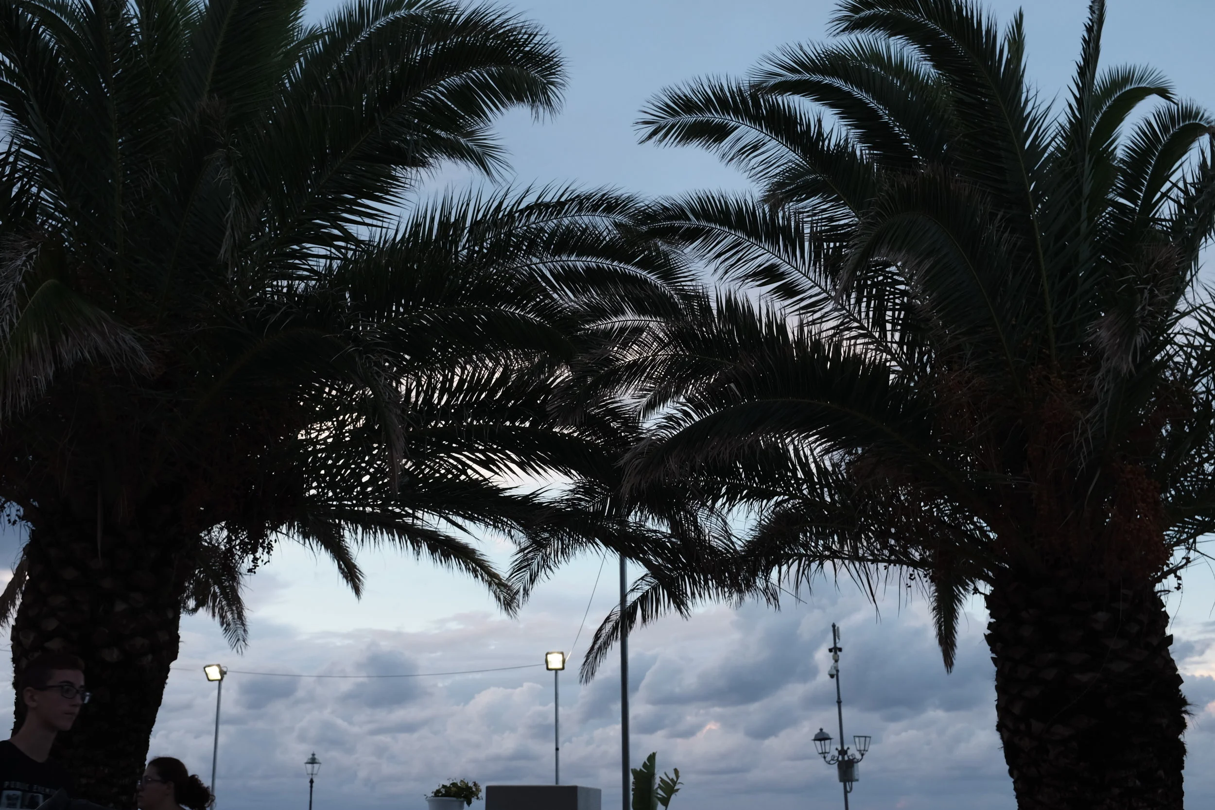 DSCF3306.JPG