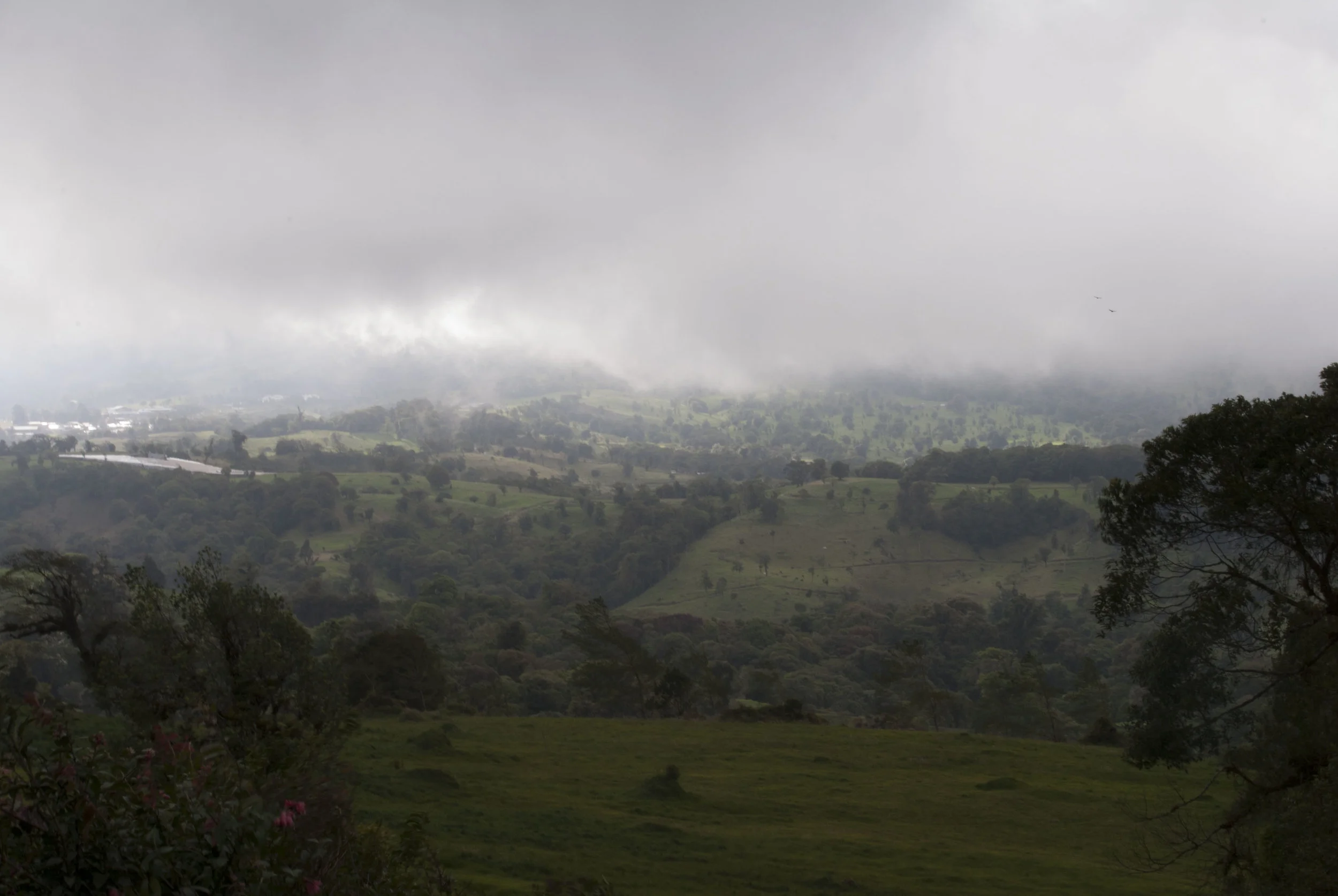 DSC_0221.JPG