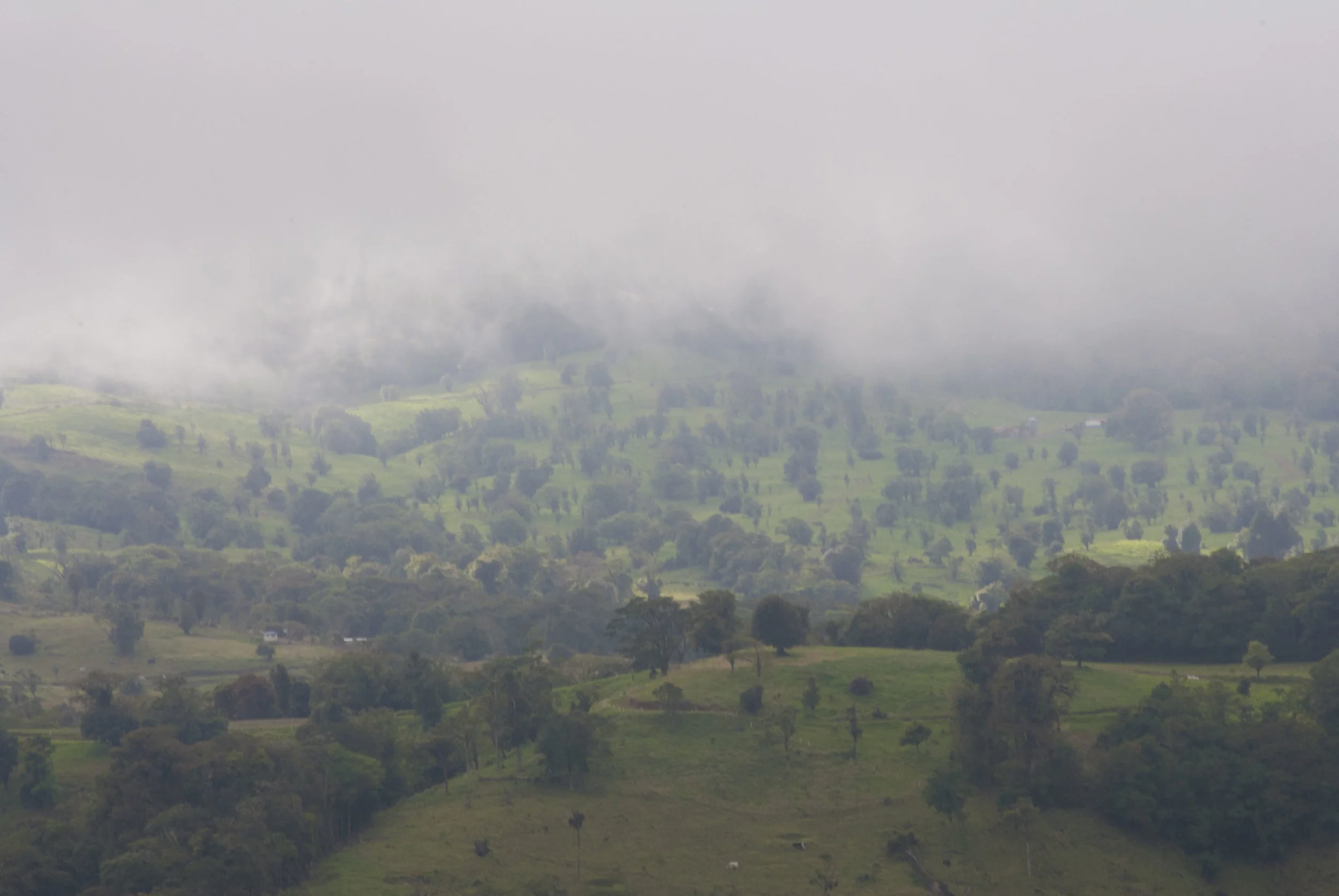 DSC_0222.JPG