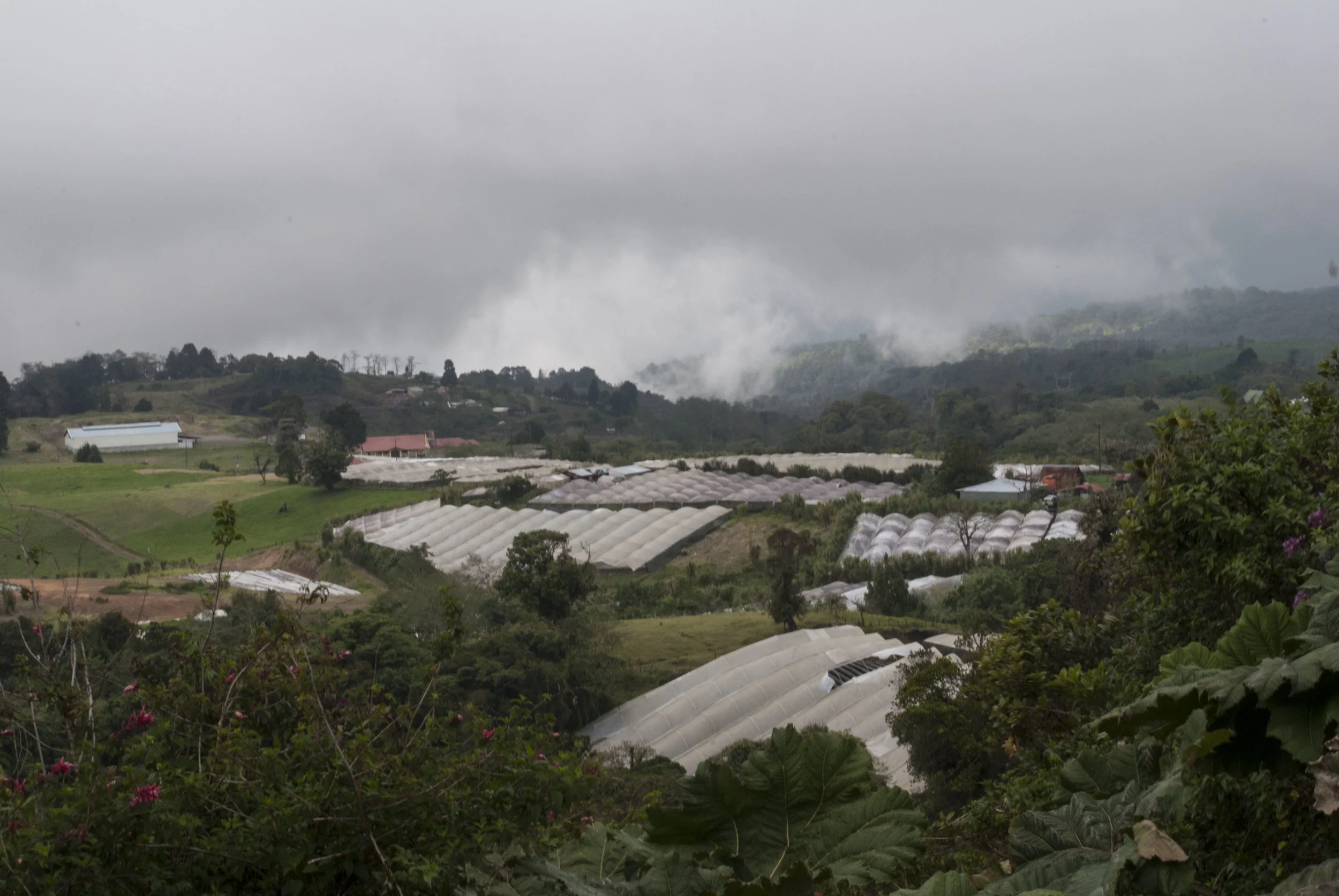 DSC_0224.JPG