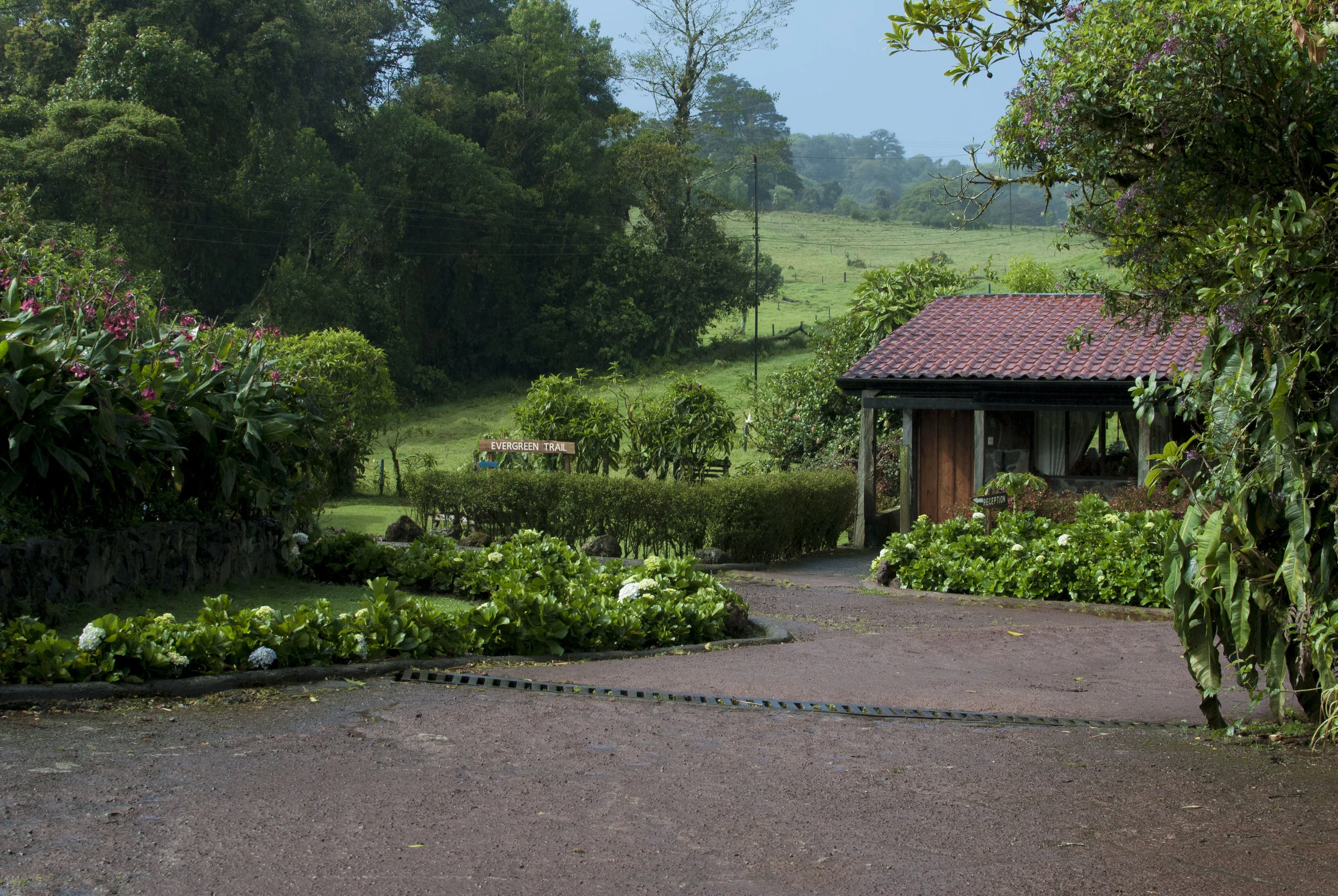 DSC_0245.JPG