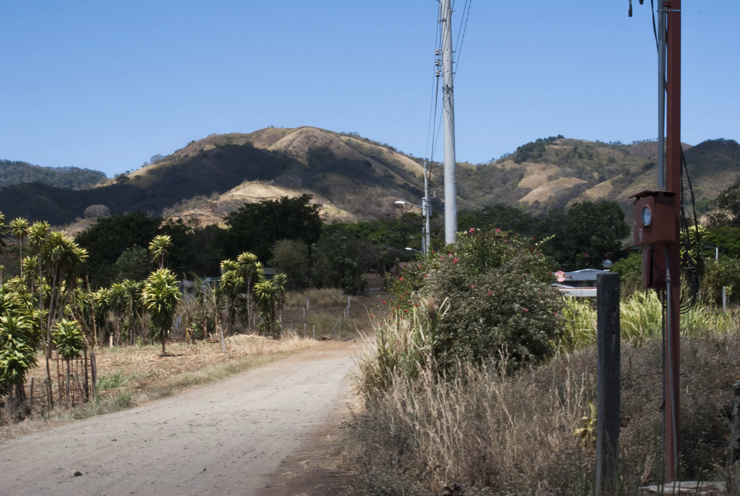 DSC_0316.JPG