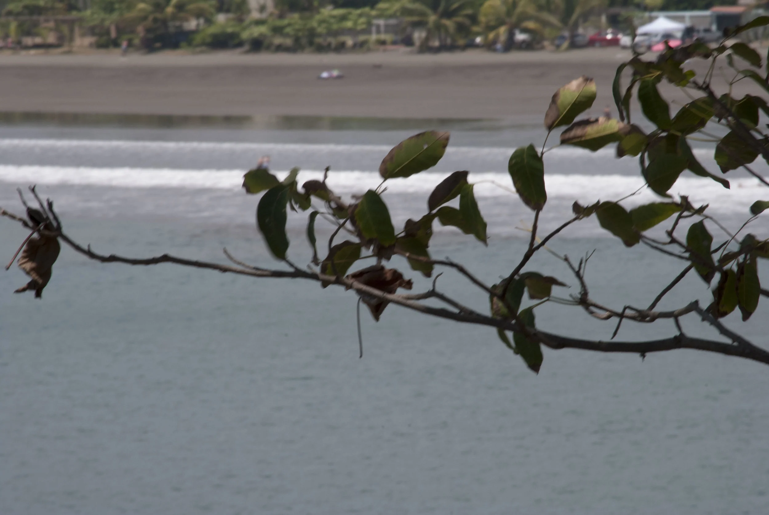 DSC_0331.JPG