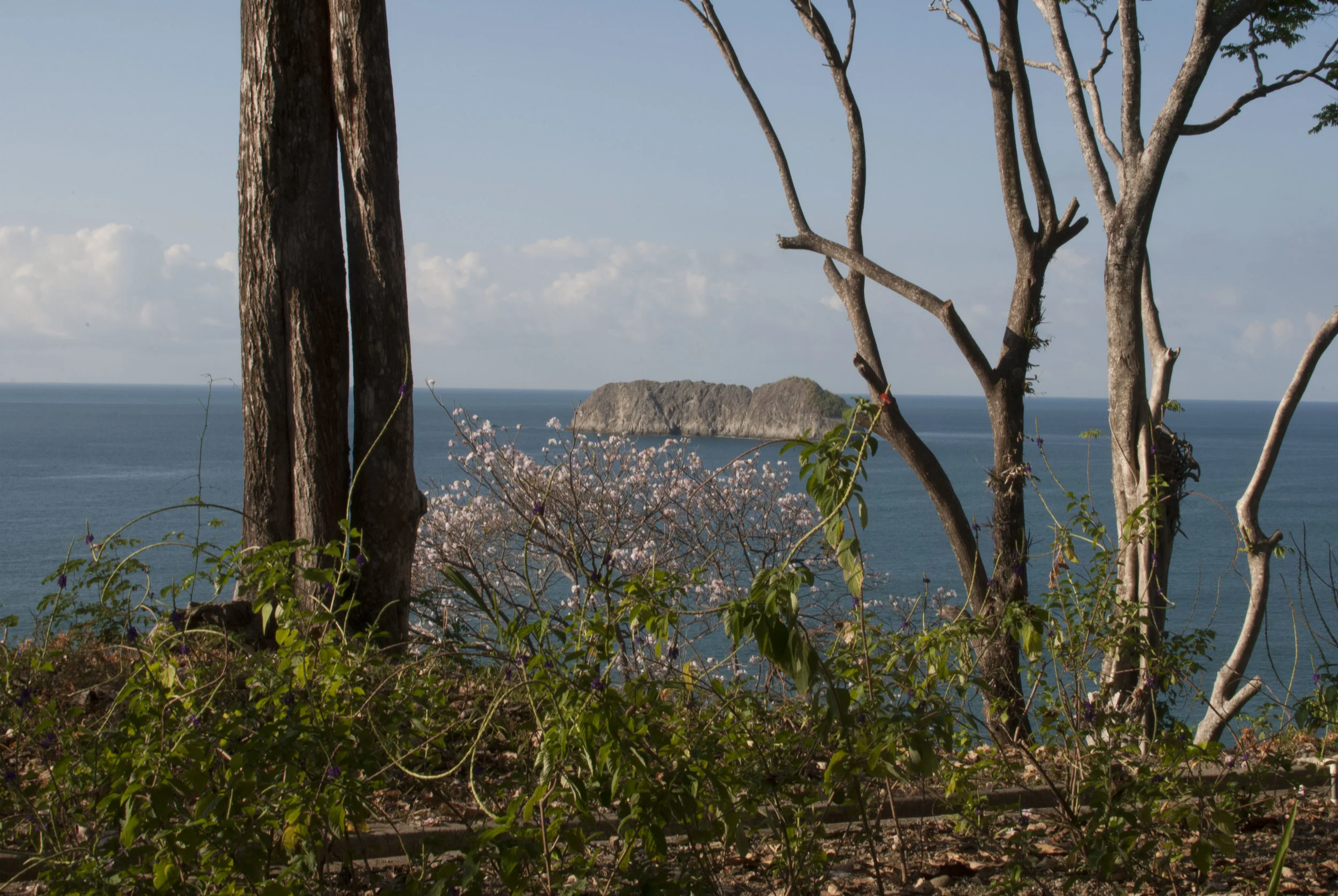 DSC_0342.JPG