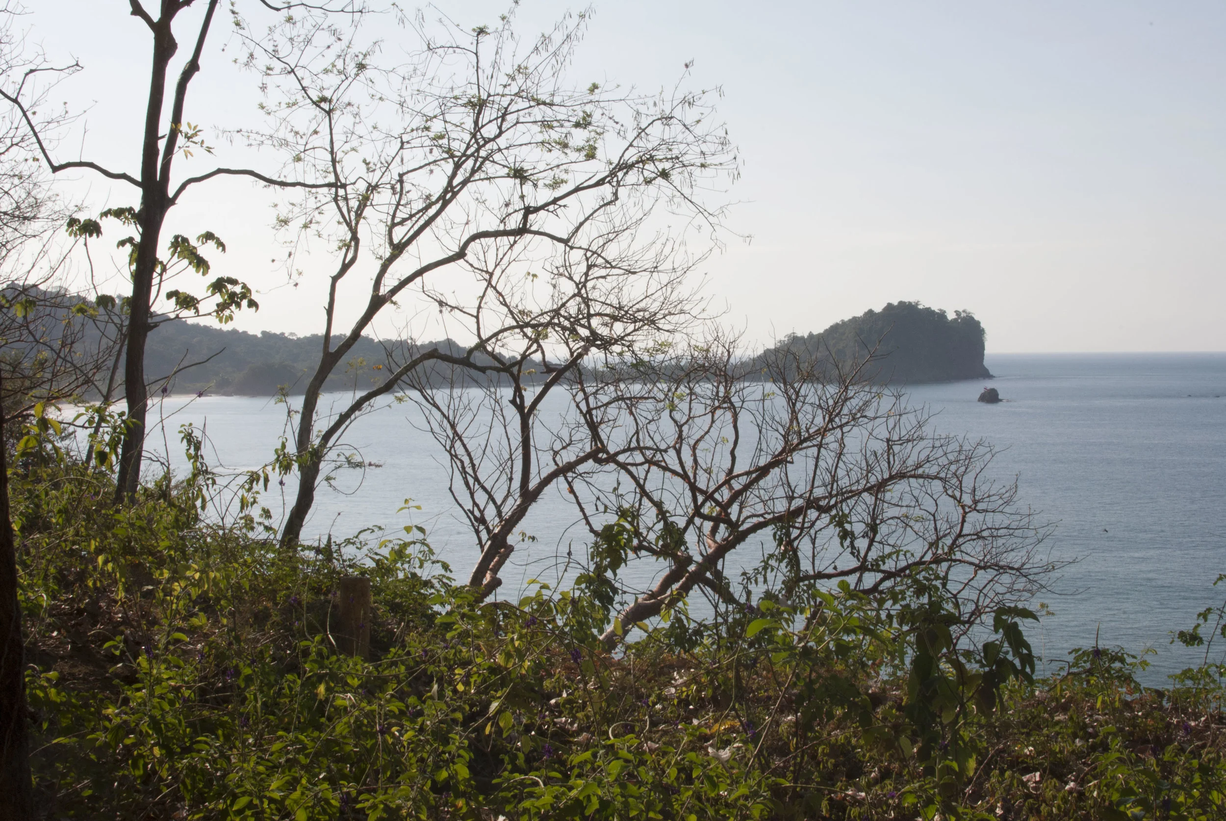 DSC_0343.JPG
