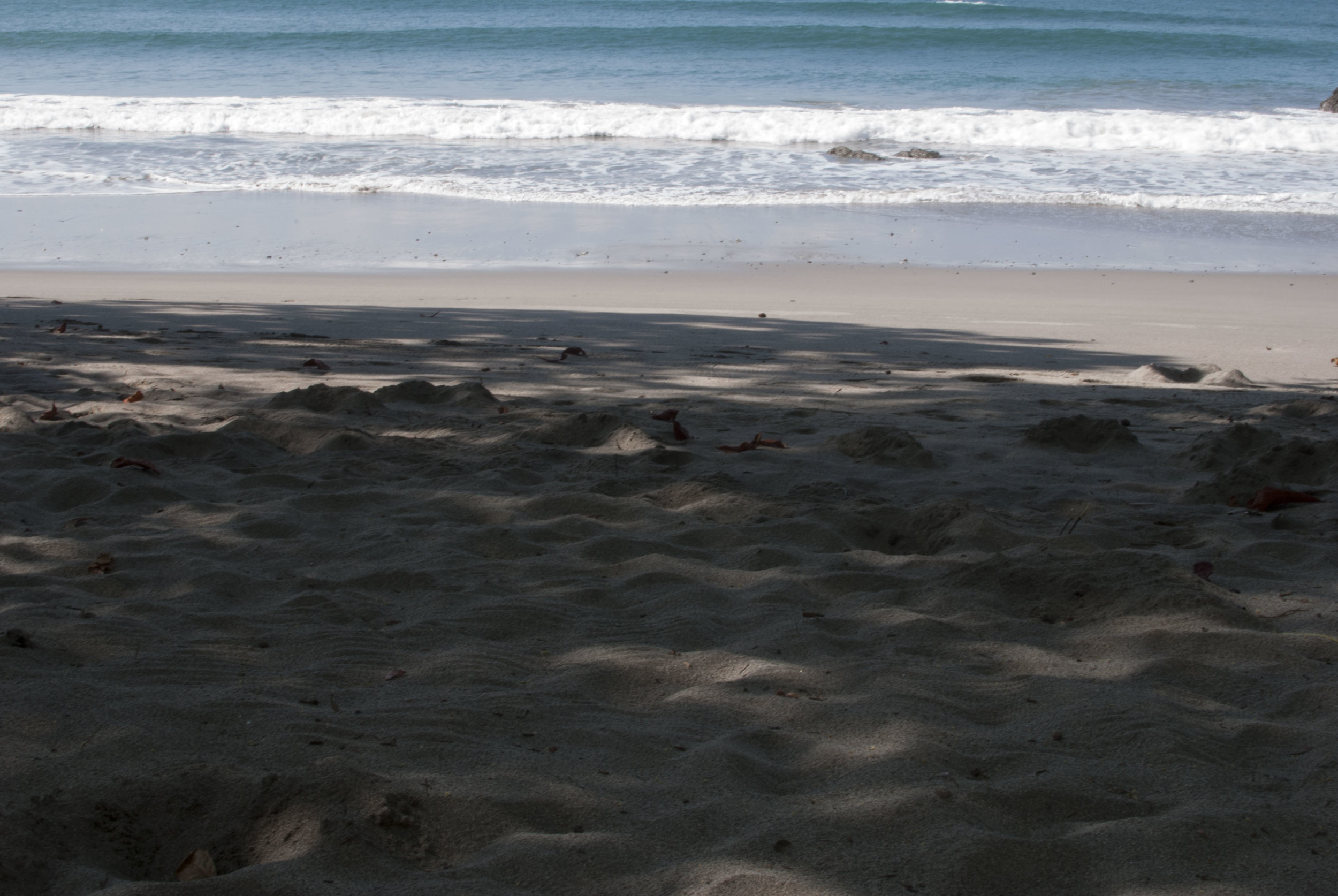 DSC_0358.JPG