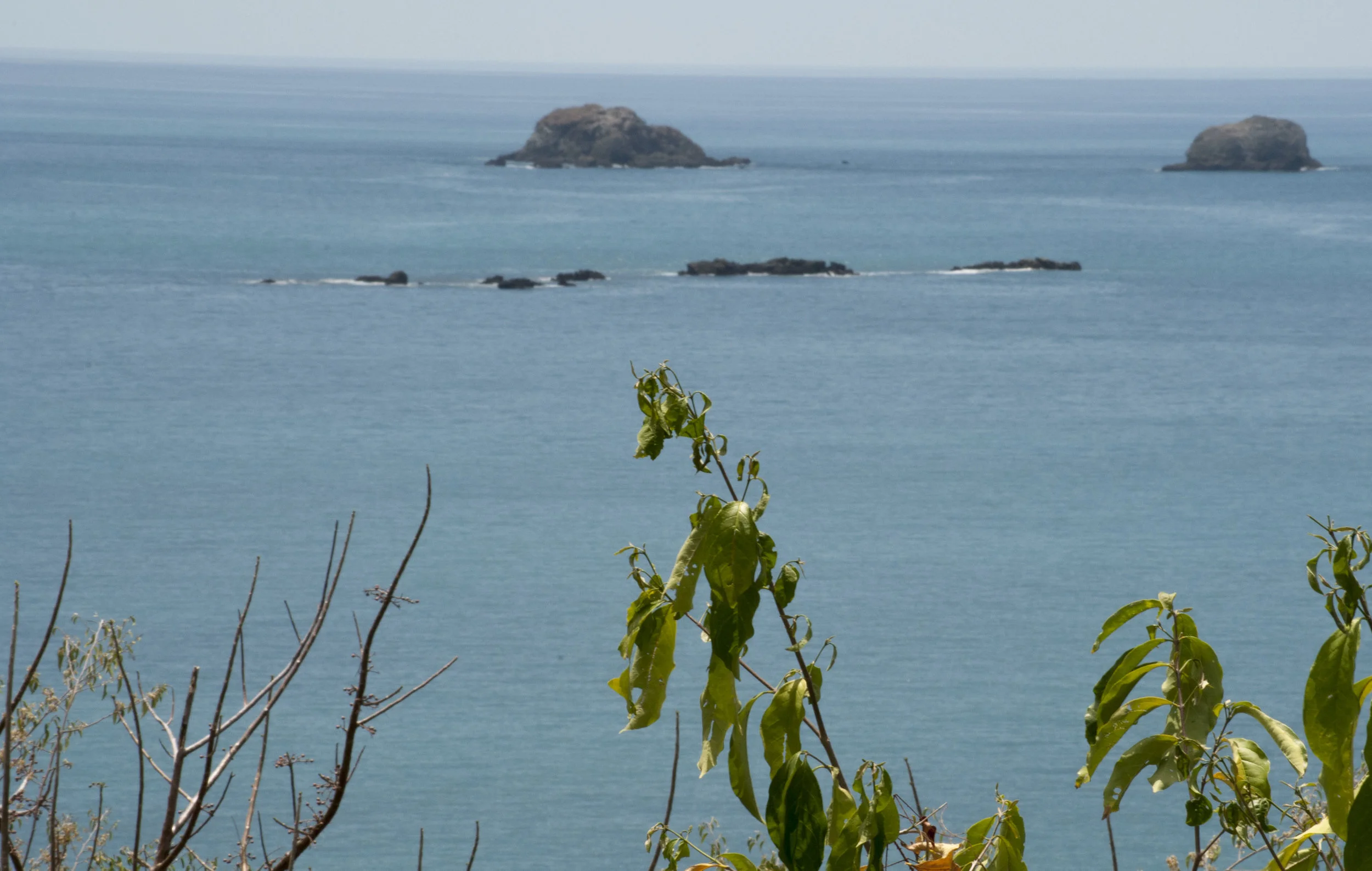 DSC_0369.JPG