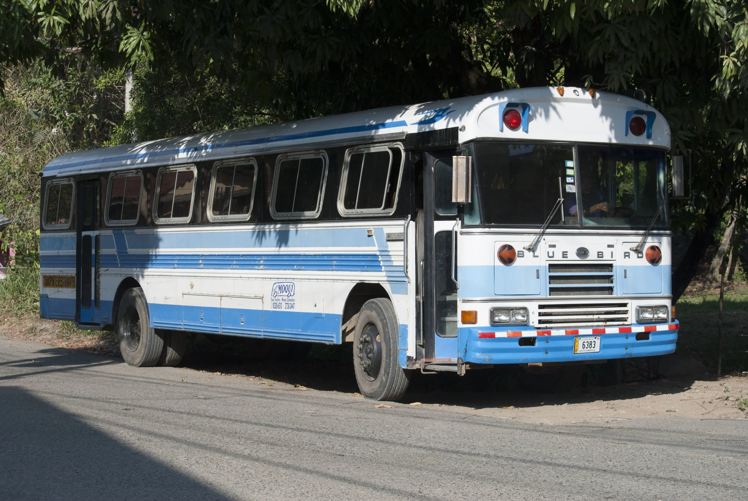 DSC_0464.JPG