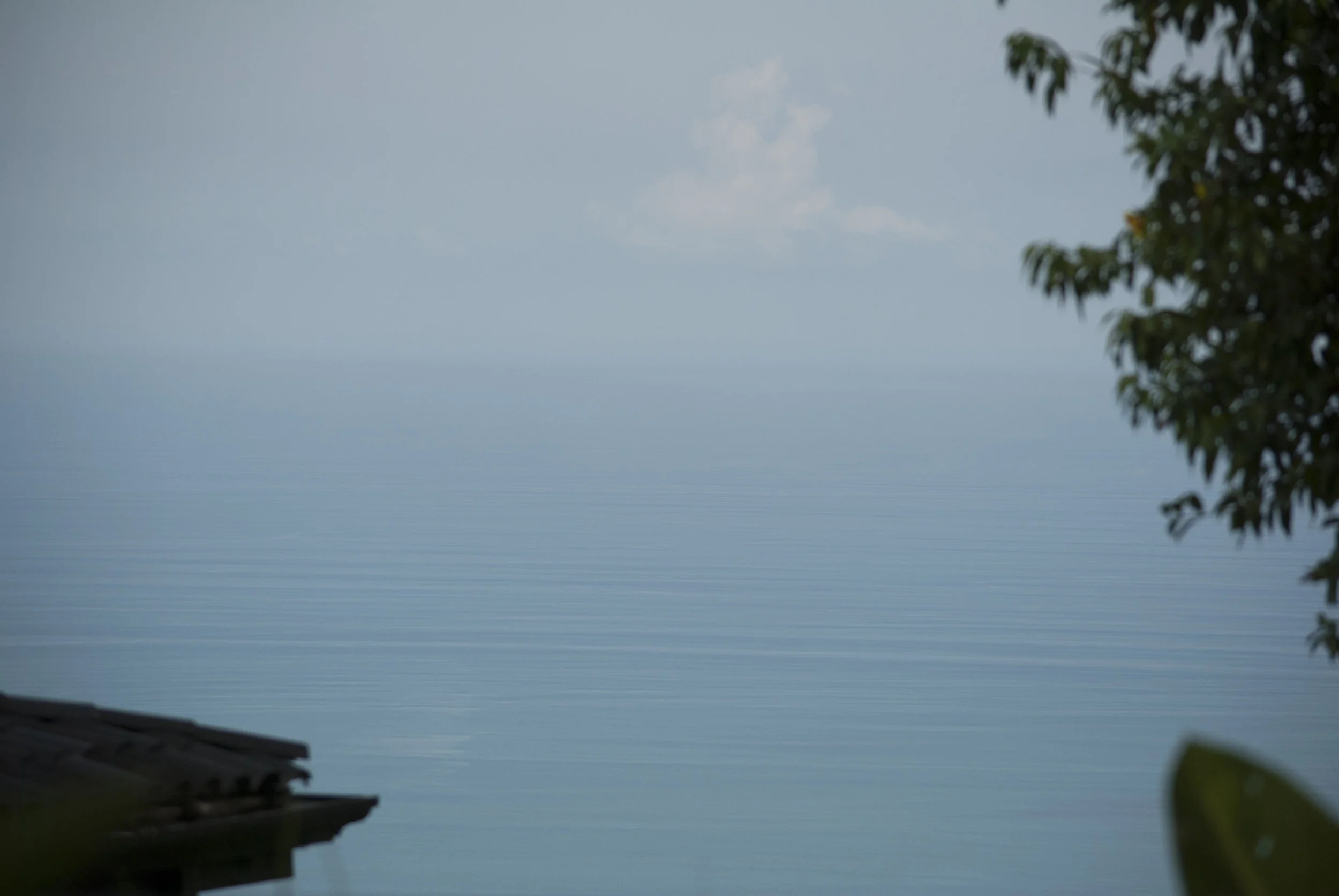 DSC_0492.JPG