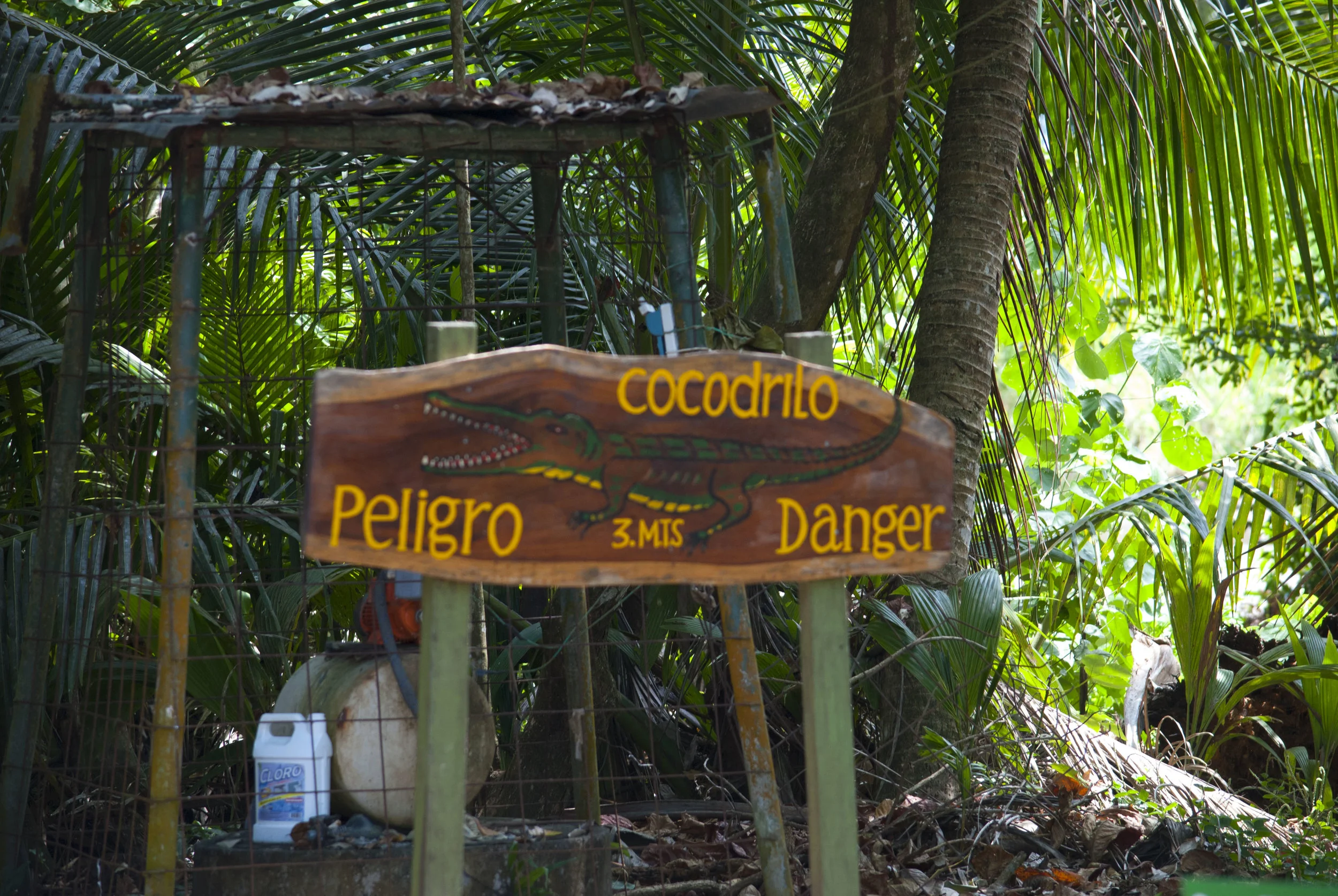 DSC_0528.JPG