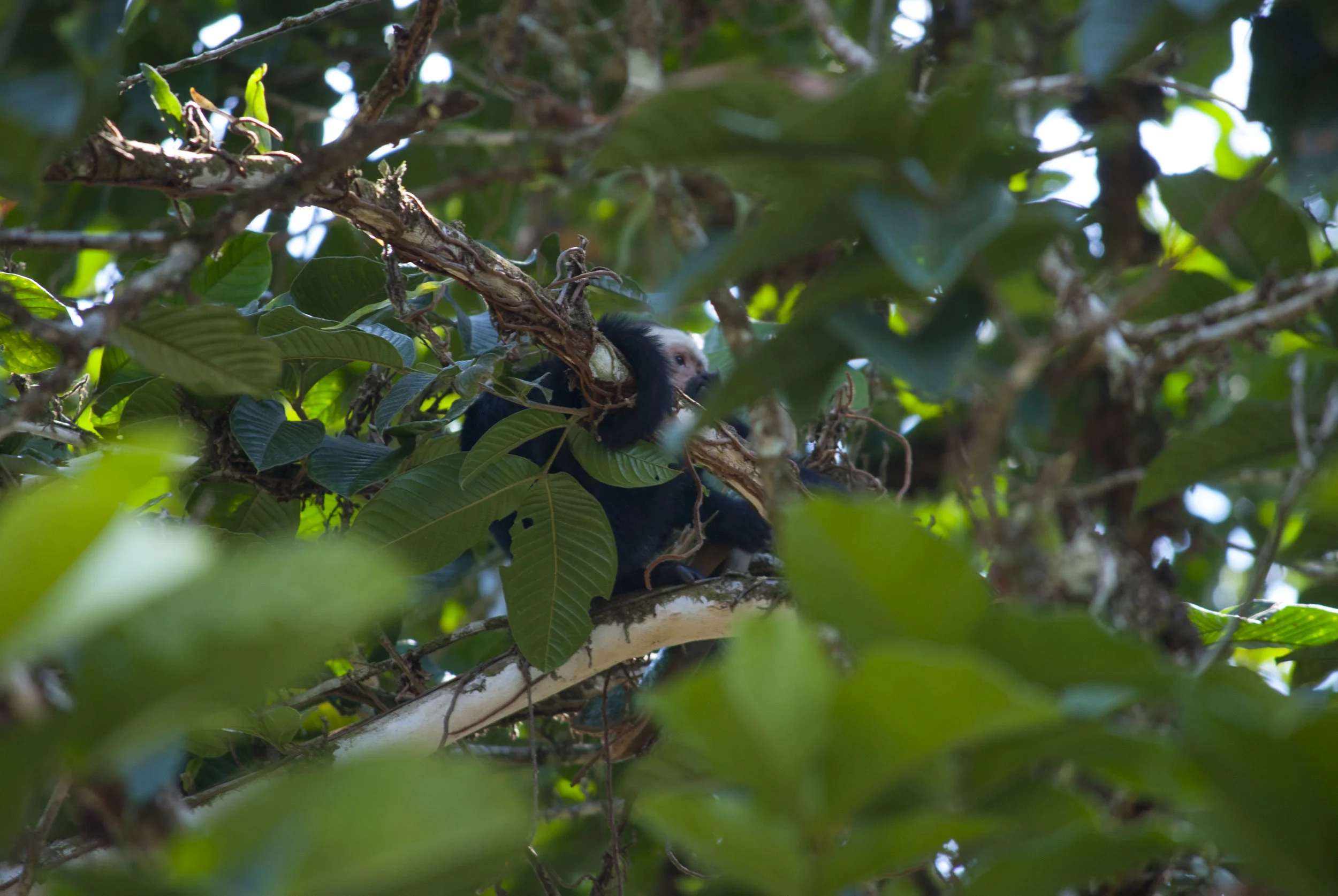 DSC_0532.JPG
