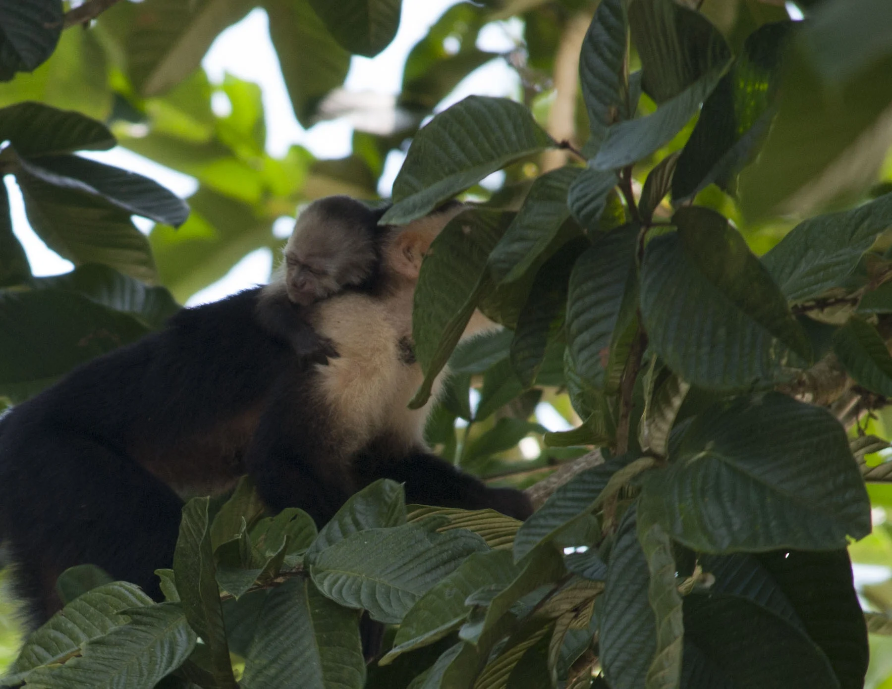 DSC_0535.JPG