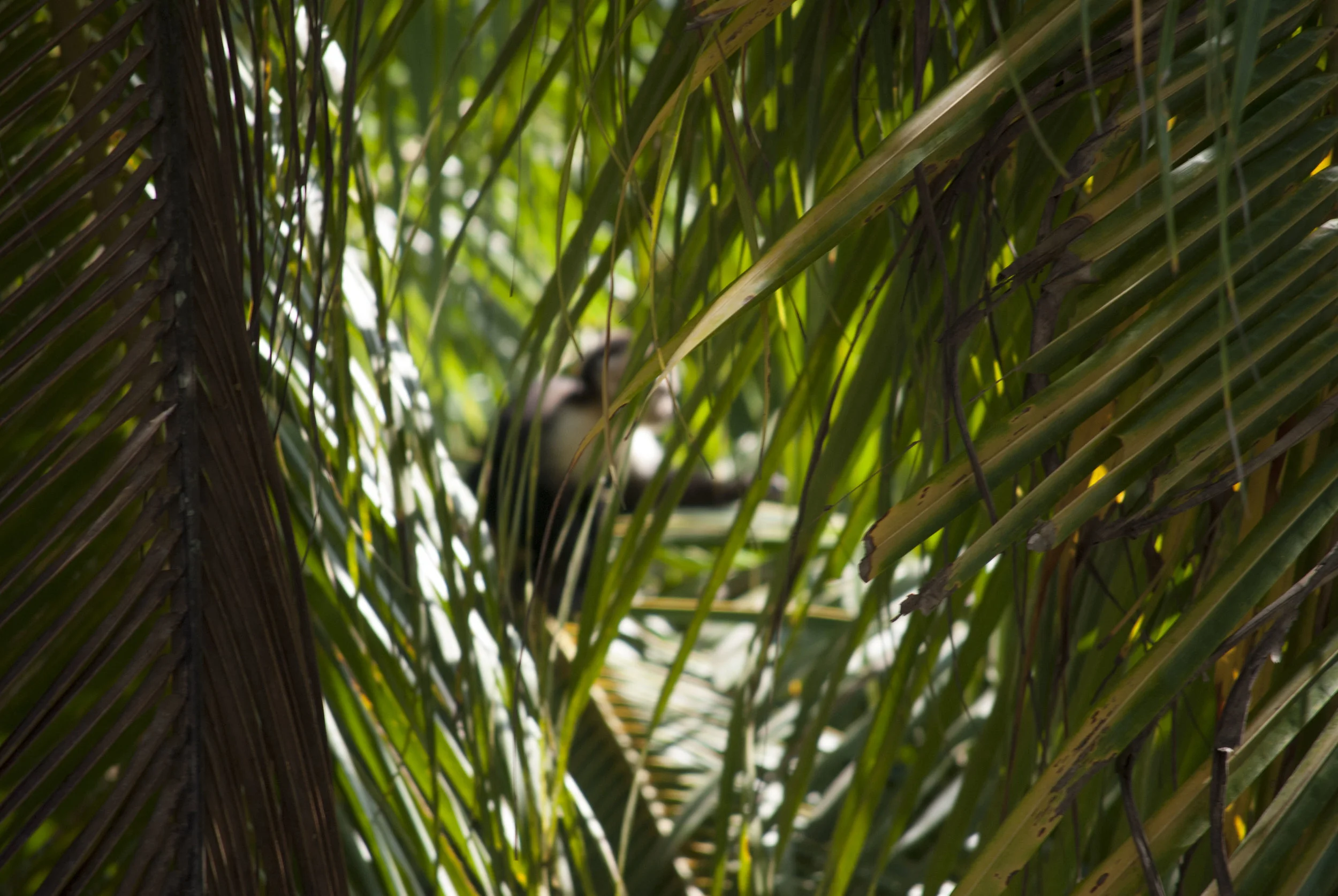 DSC_0536.JPG