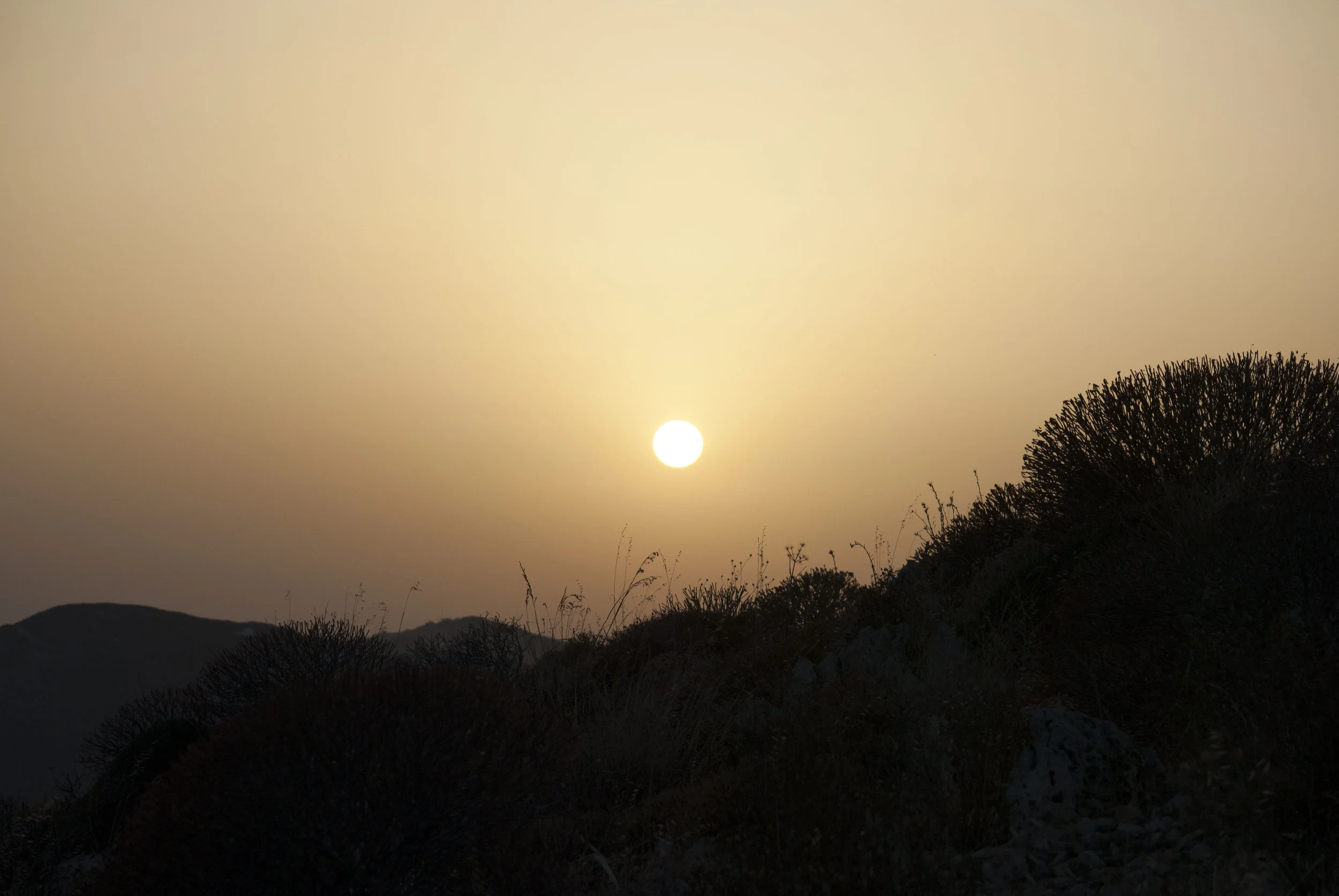 DSC_0047.JPG