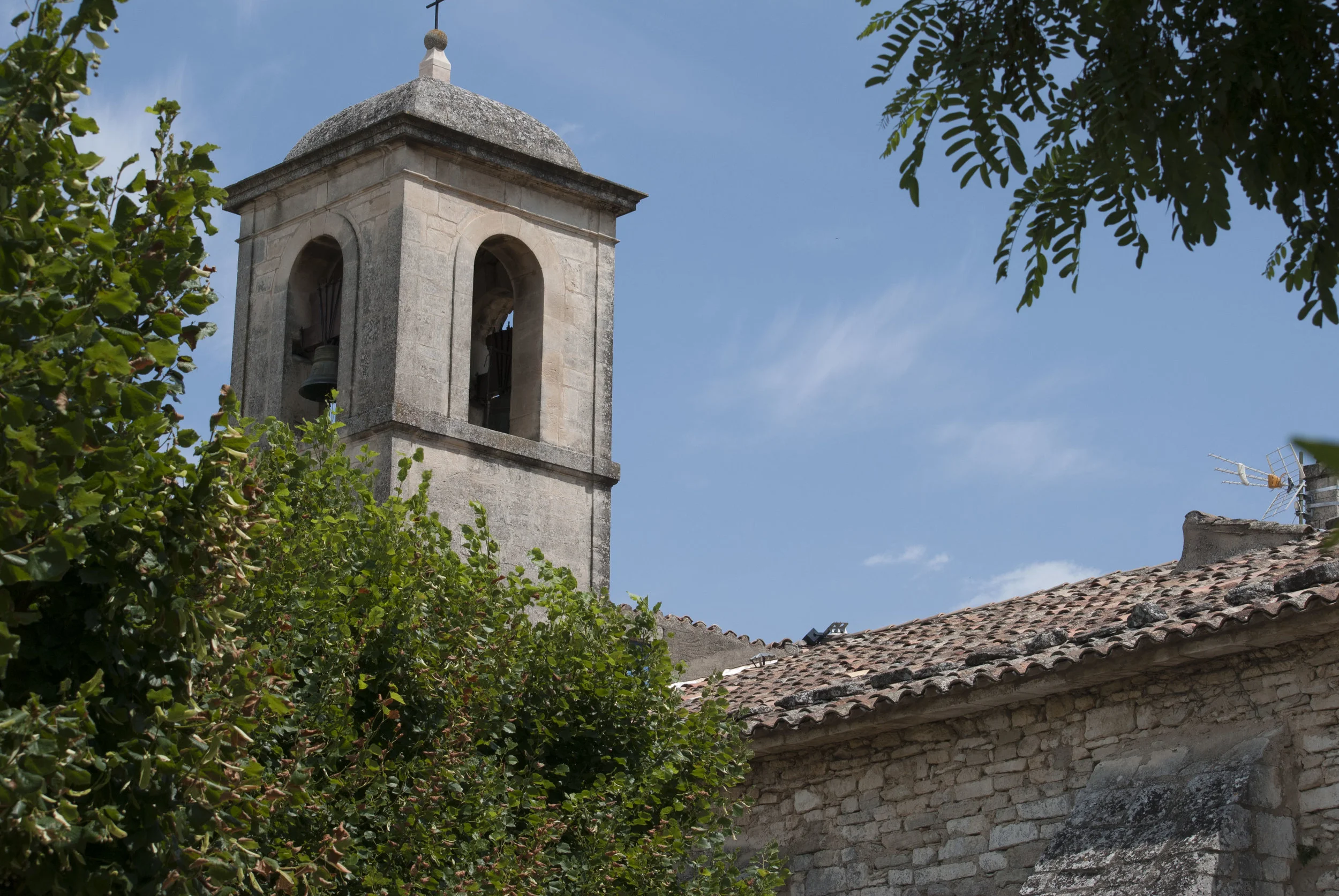 DSC_0003.JPG