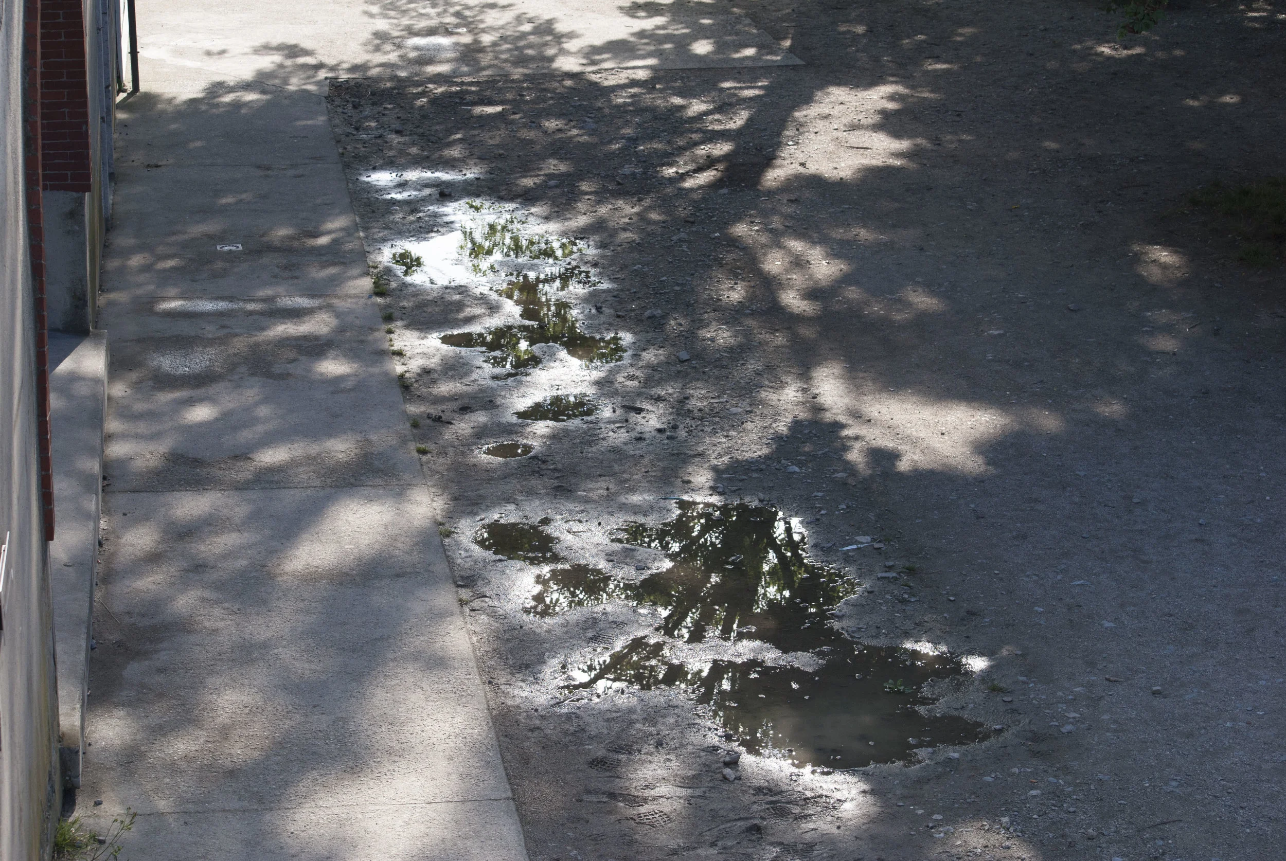 DSC_0982.JPG