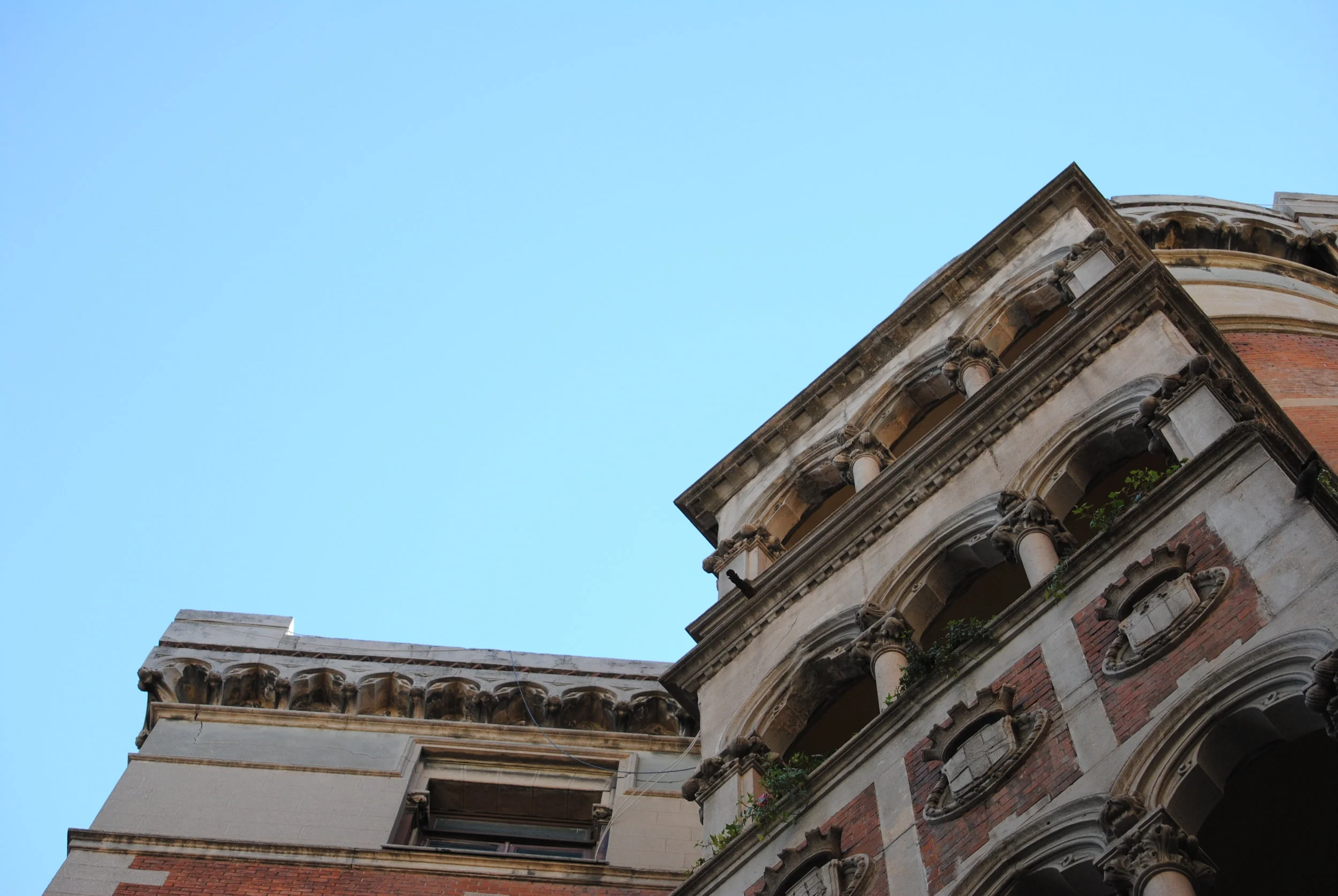 DSC_0197.JPG