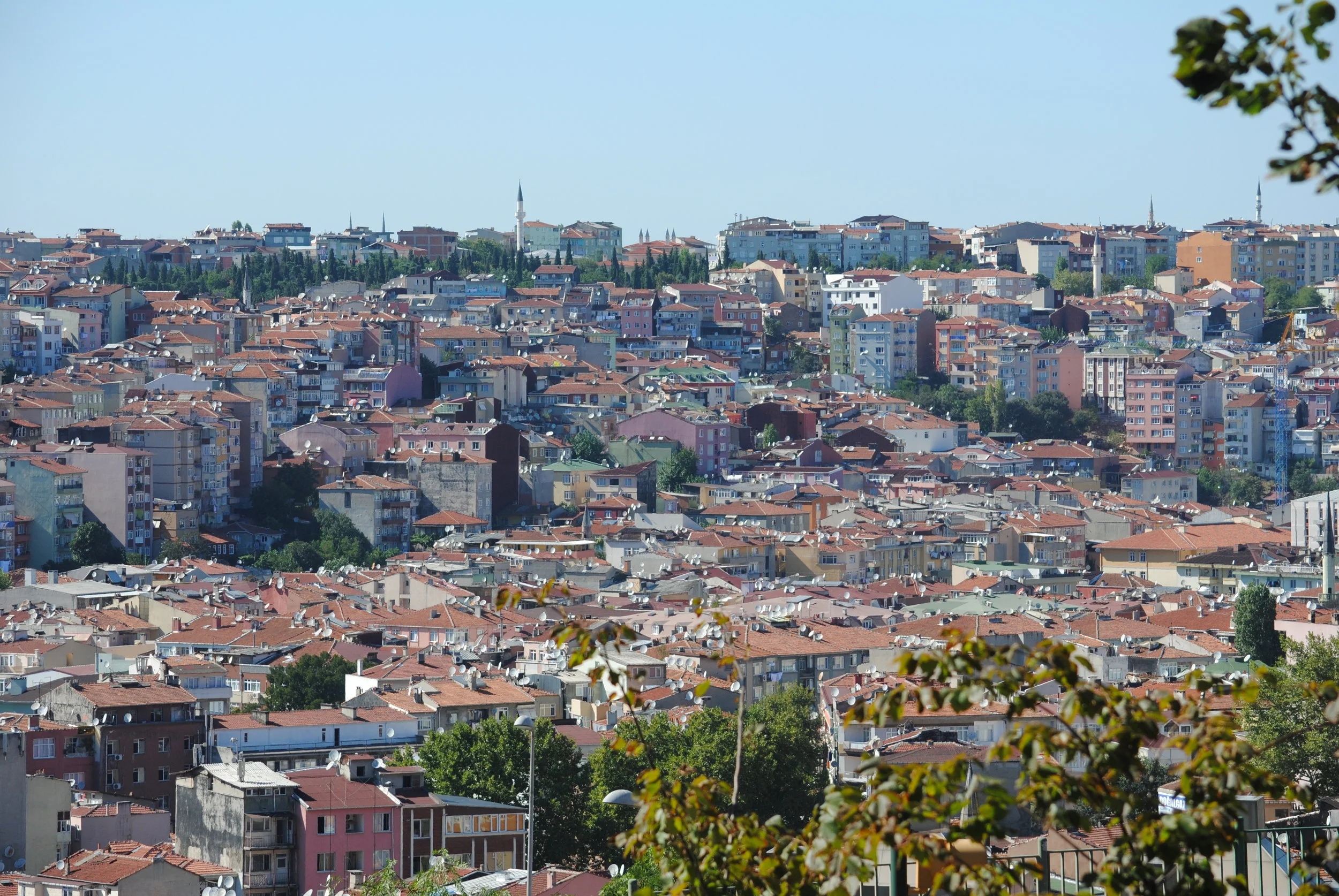 DSC_0206.JPG