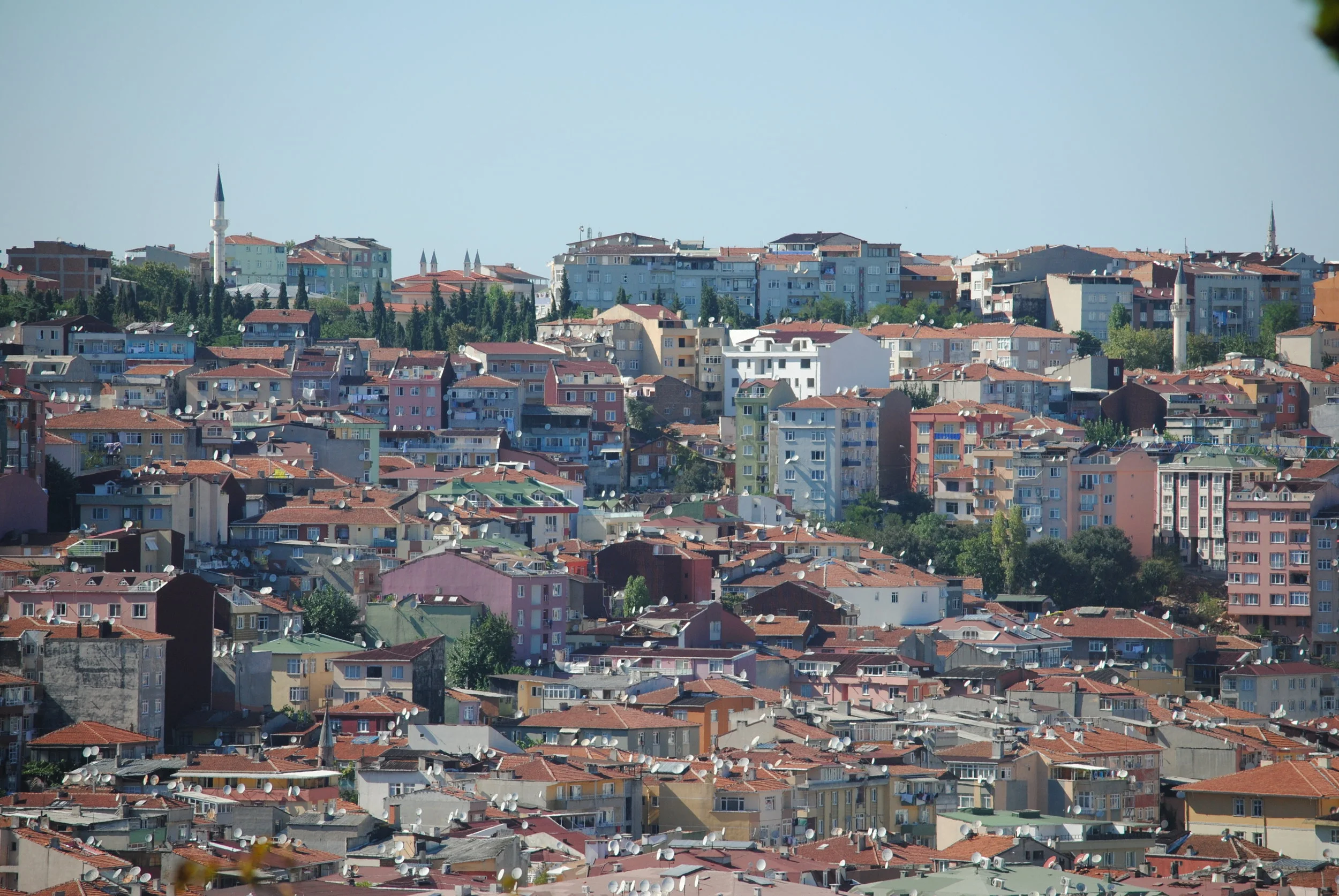 DSC_0207.JPG
