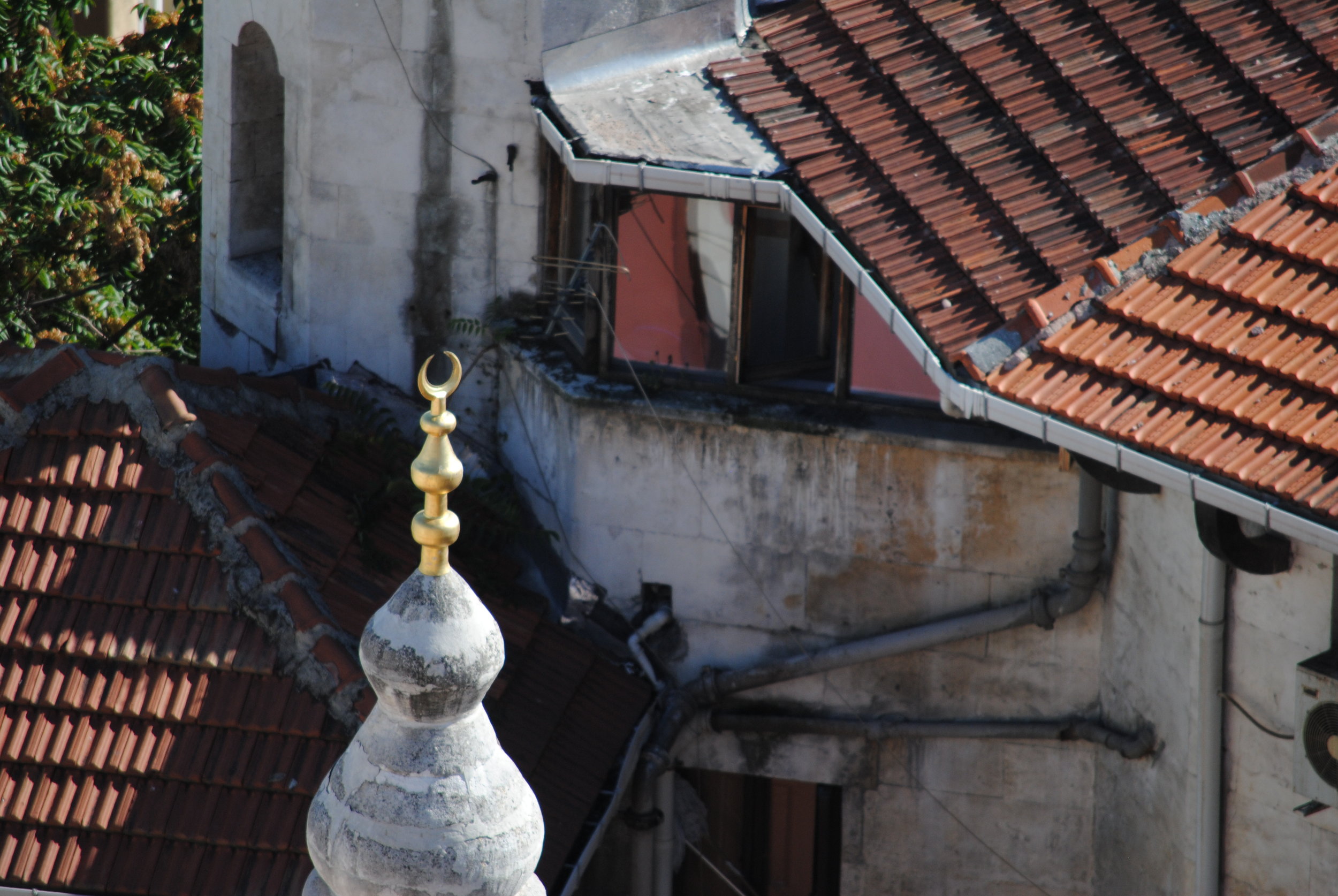 DSC_0264.JPG