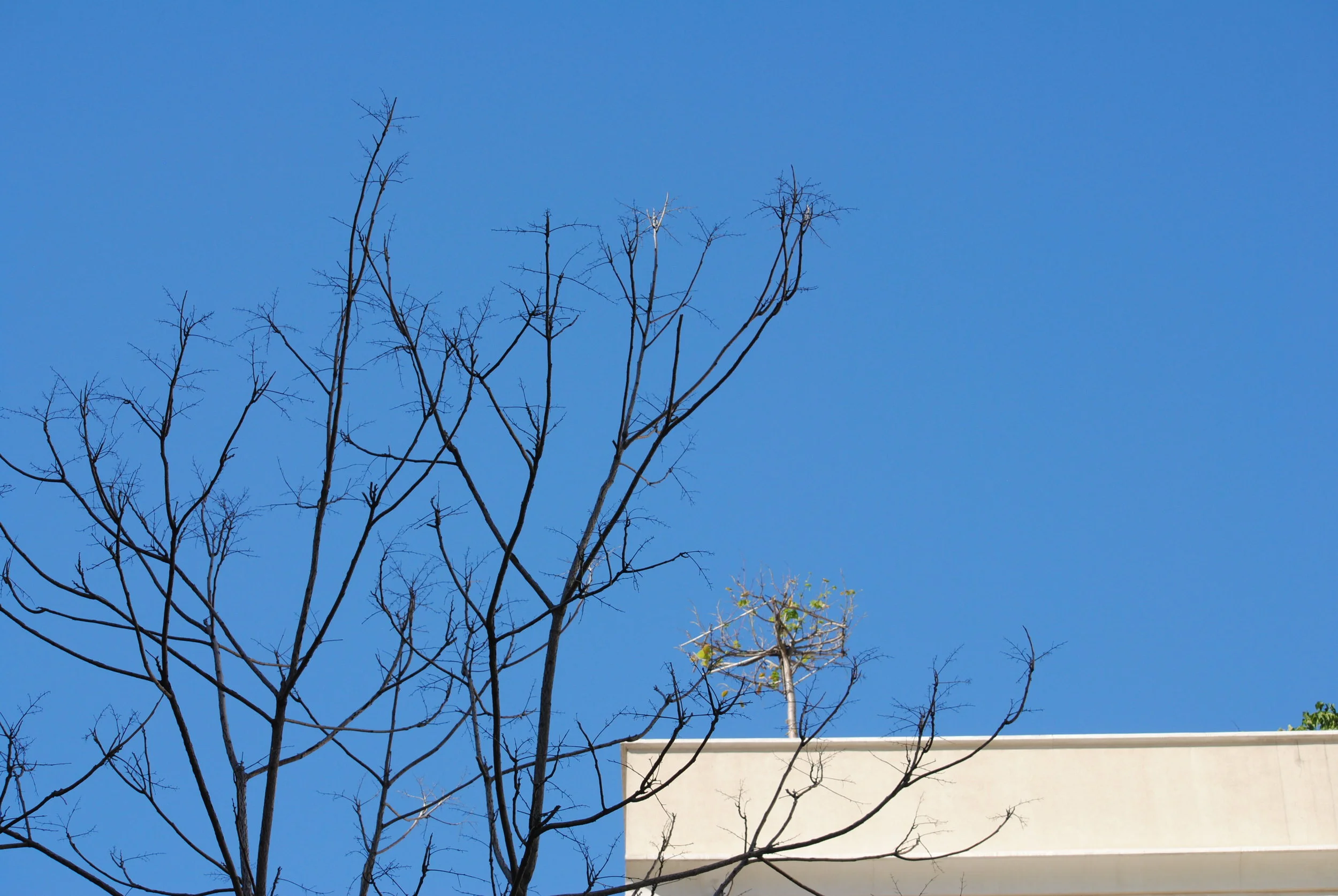 DSC_0281.JPG