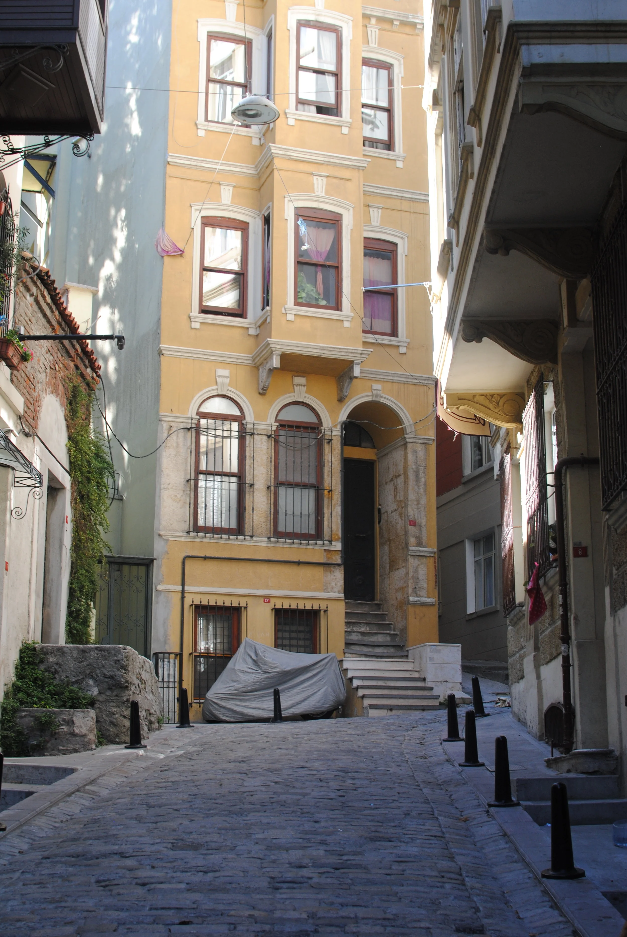DSC_0299.JPG