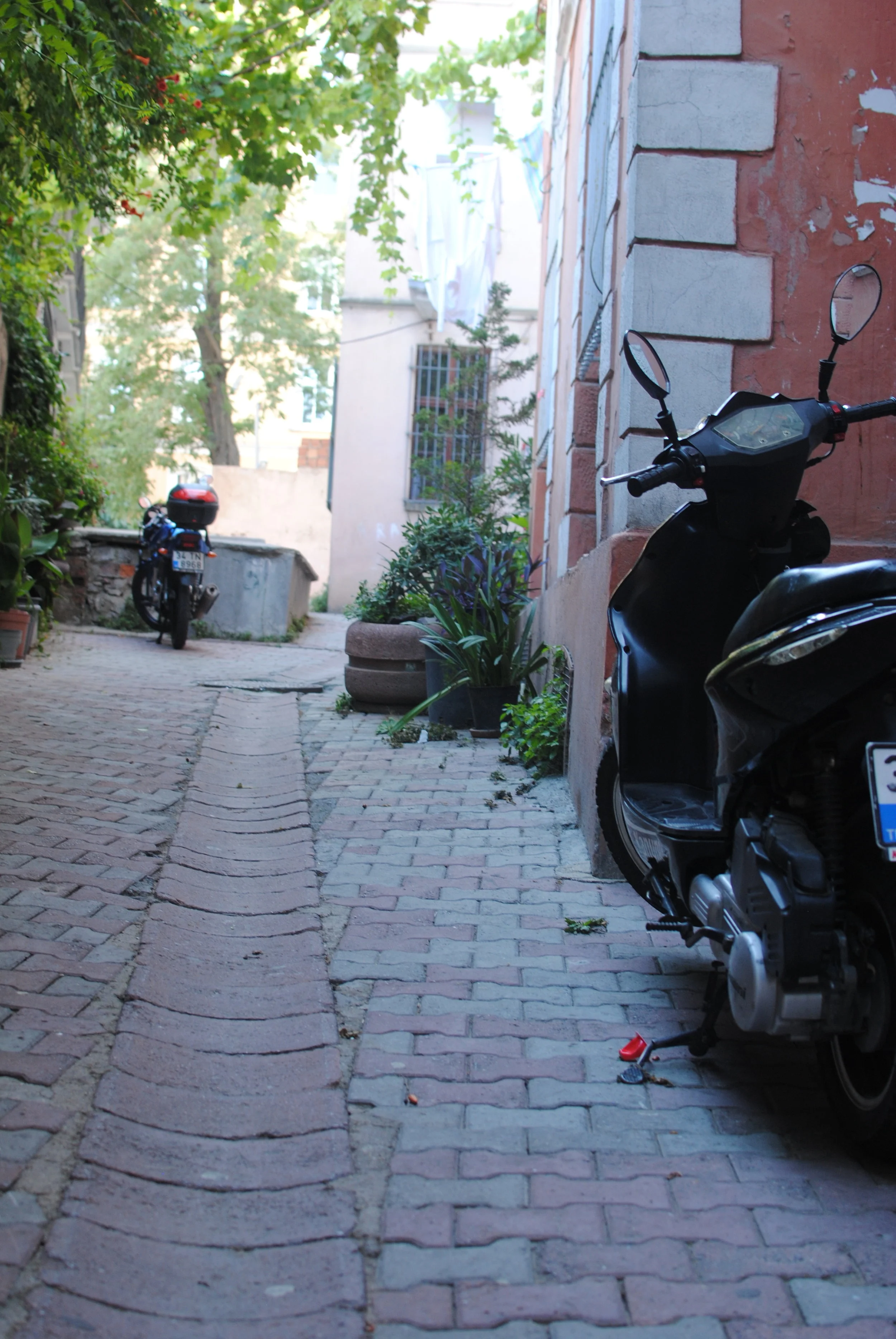 DSC_0319.JPG