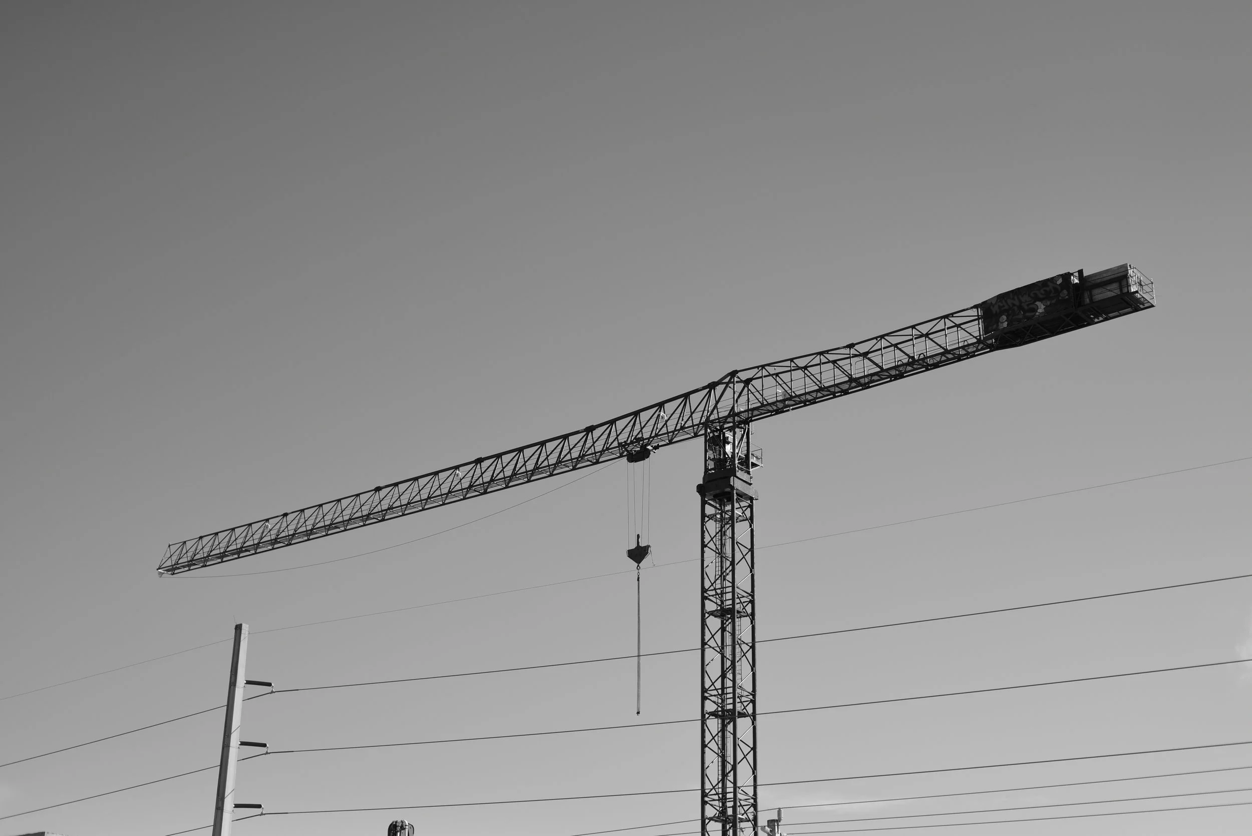 DSC_1401.JPG