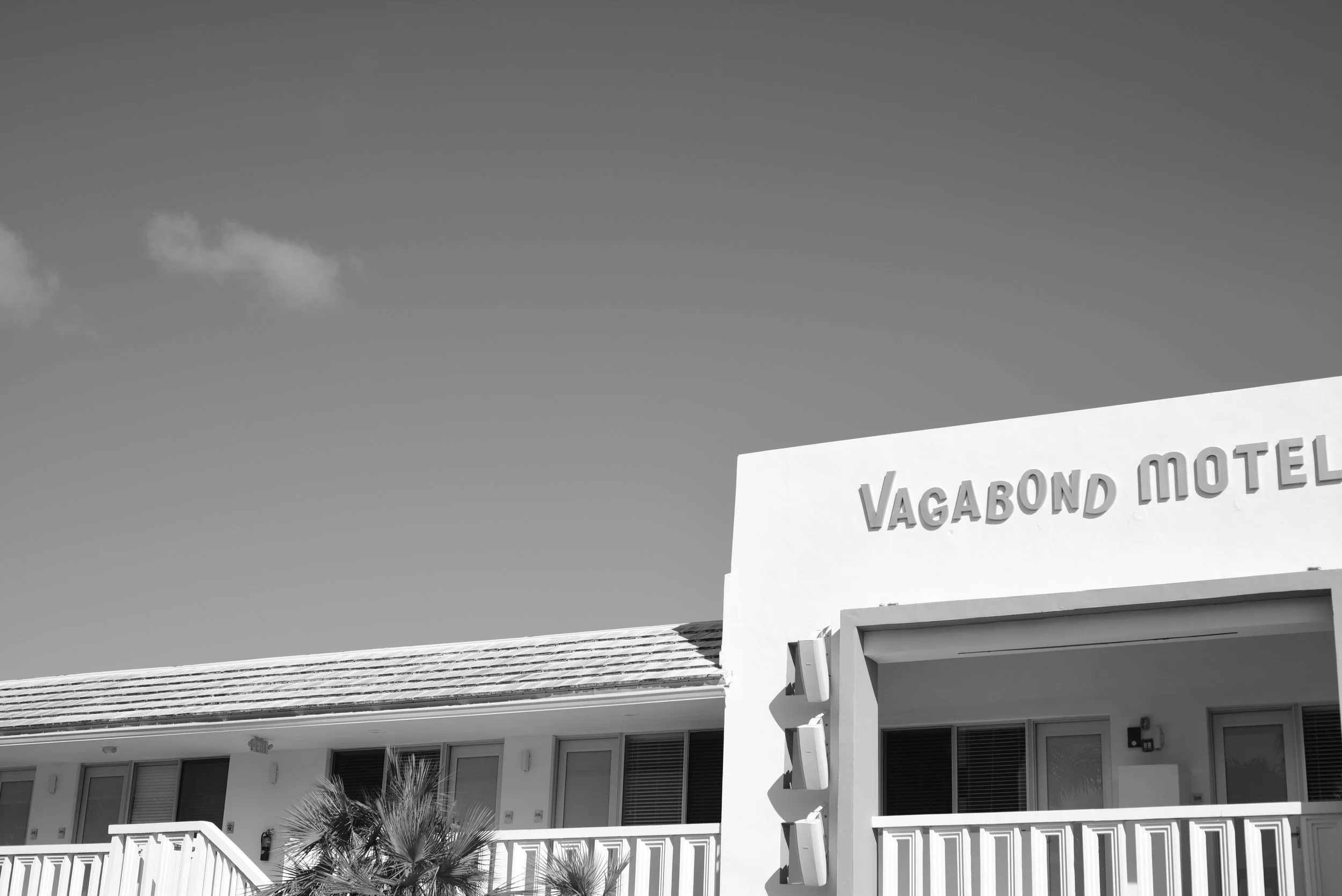 DSC_1383.JPG
