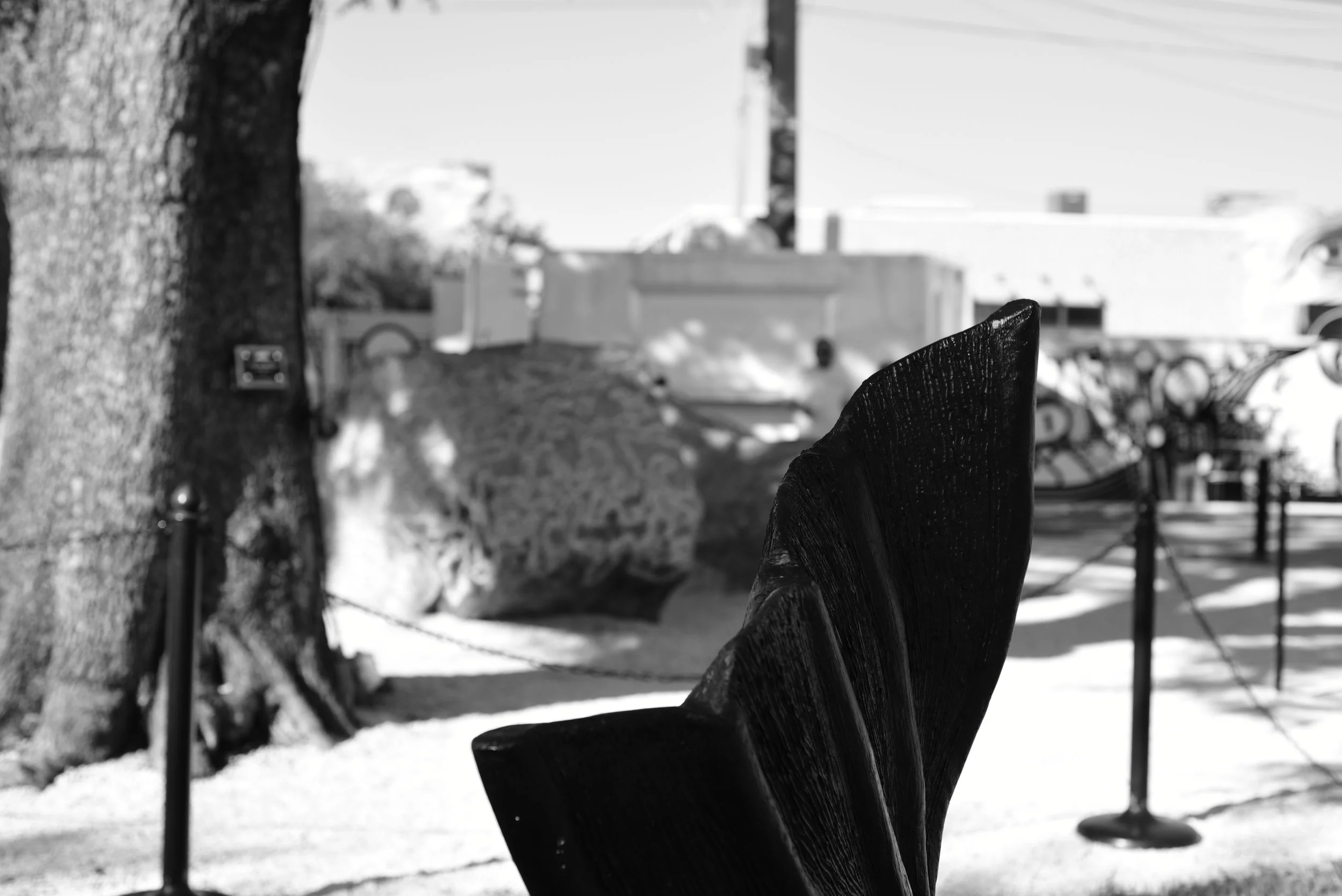 DSC_1398.JPG