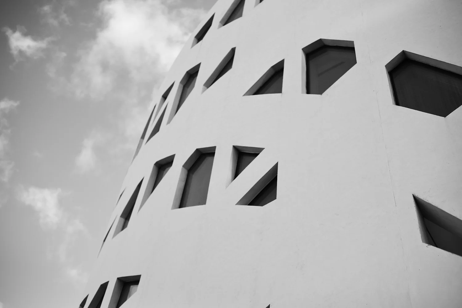 DSC_1444.JPG
