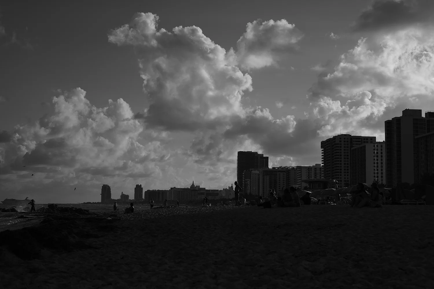 DSC_1461.JPG