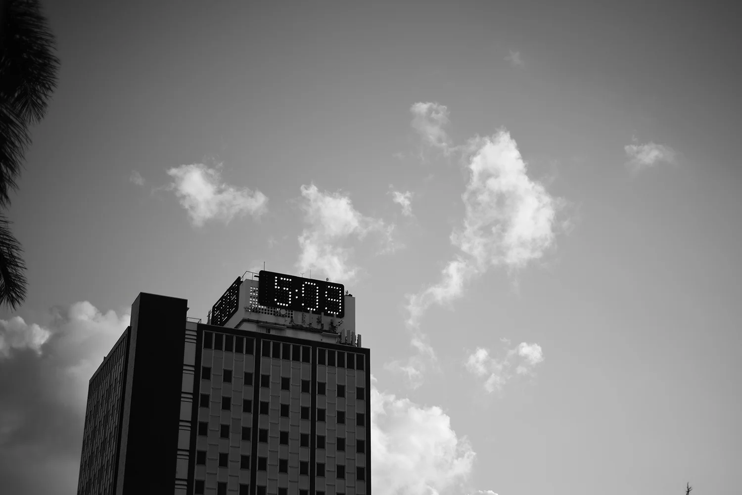 DSC_1474.JPG