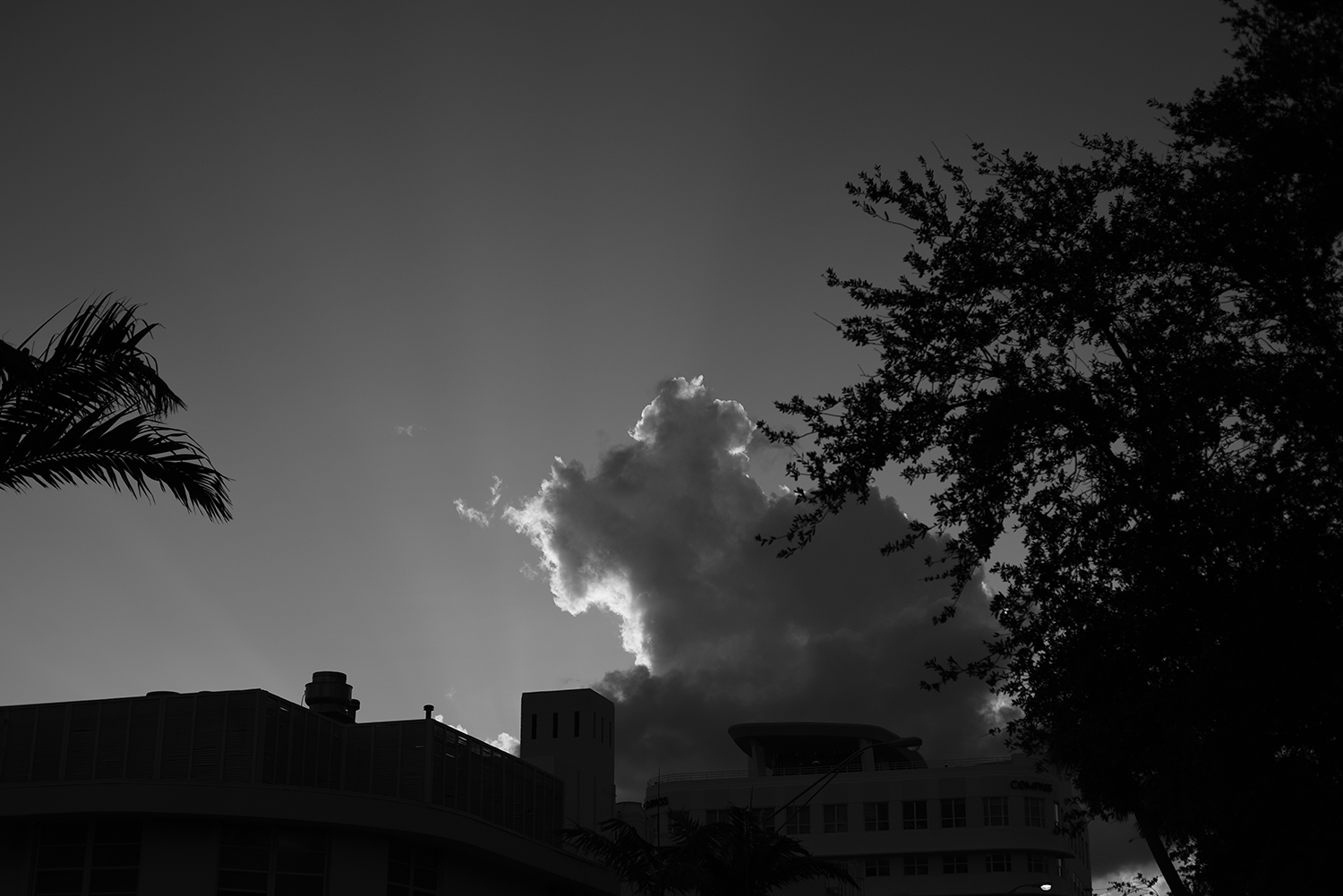 DSC_1478.JPG