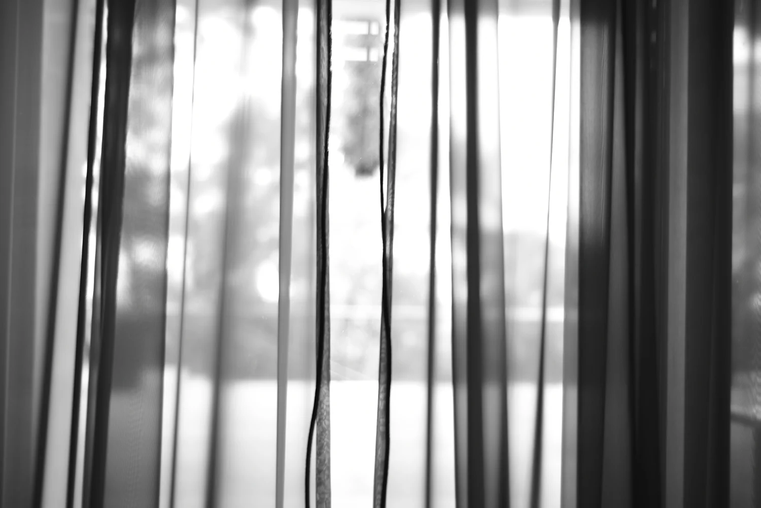 DSC_1579.JPG