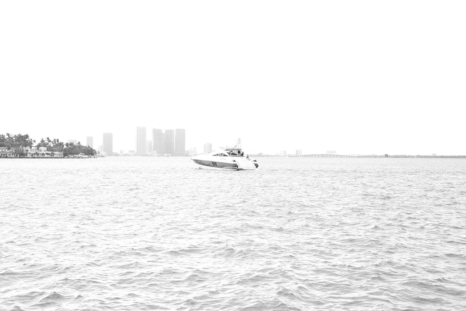 DSC_1631.JPG